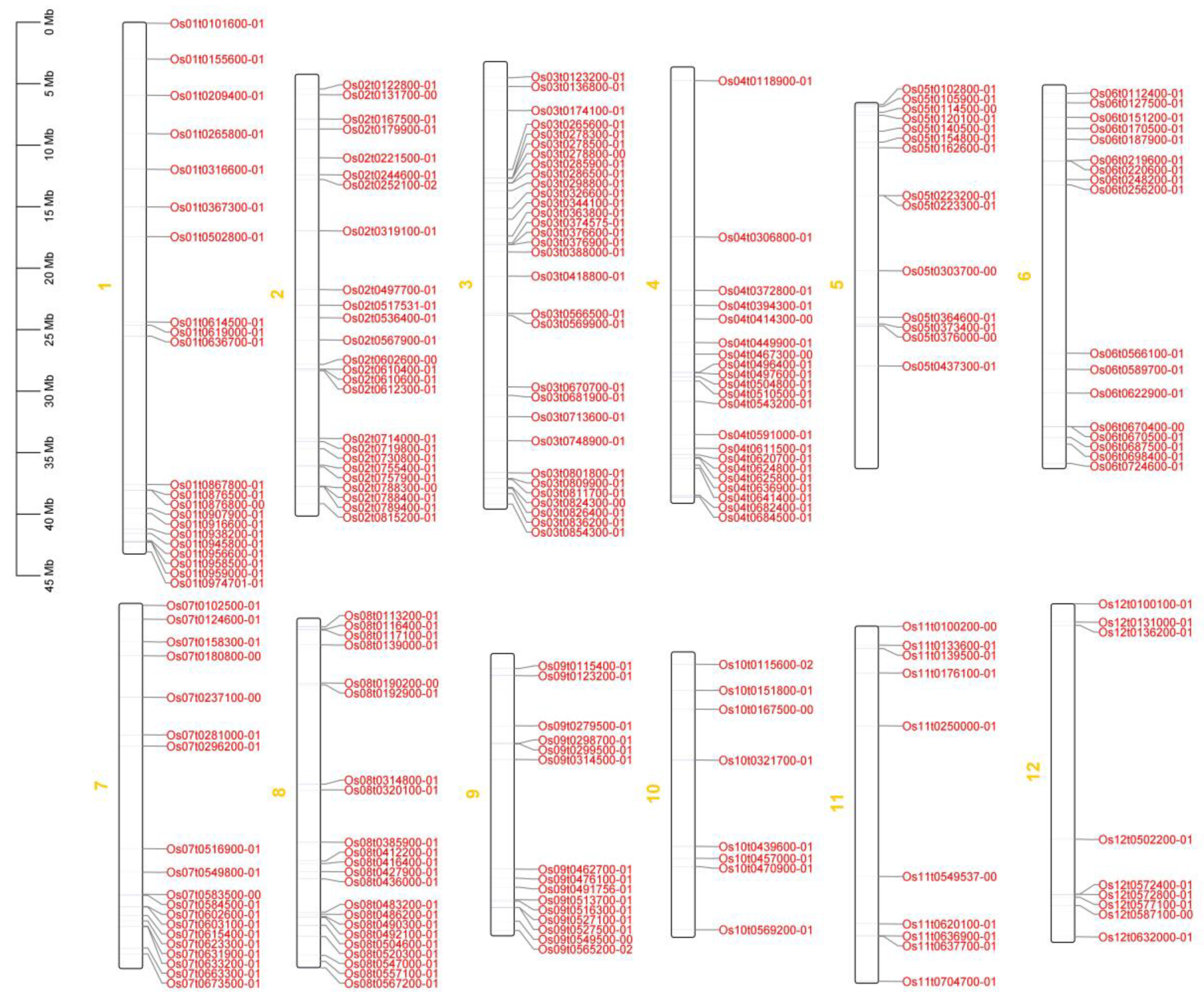 Preprints 83161 g002