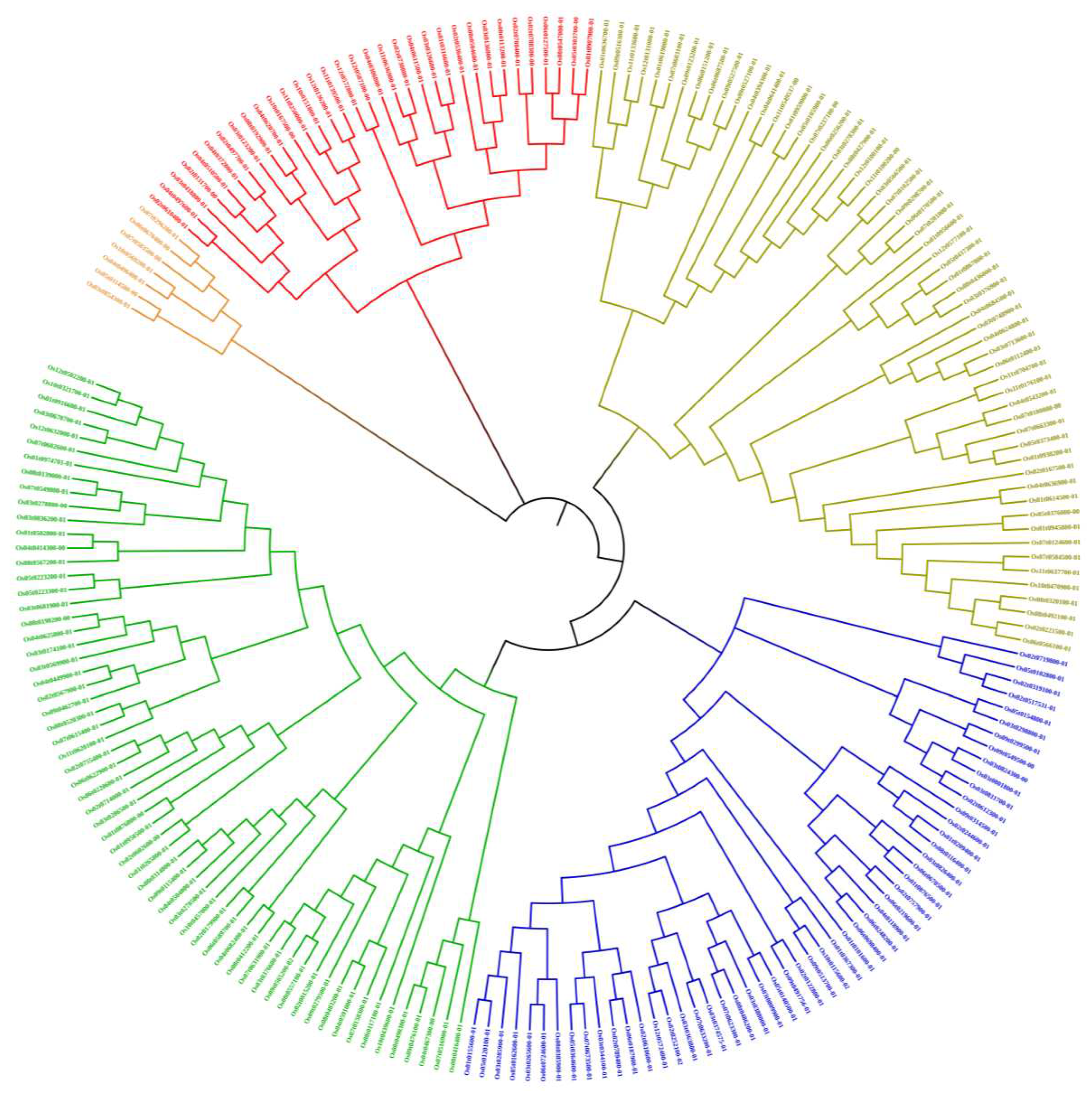 Preprints 83161 g003