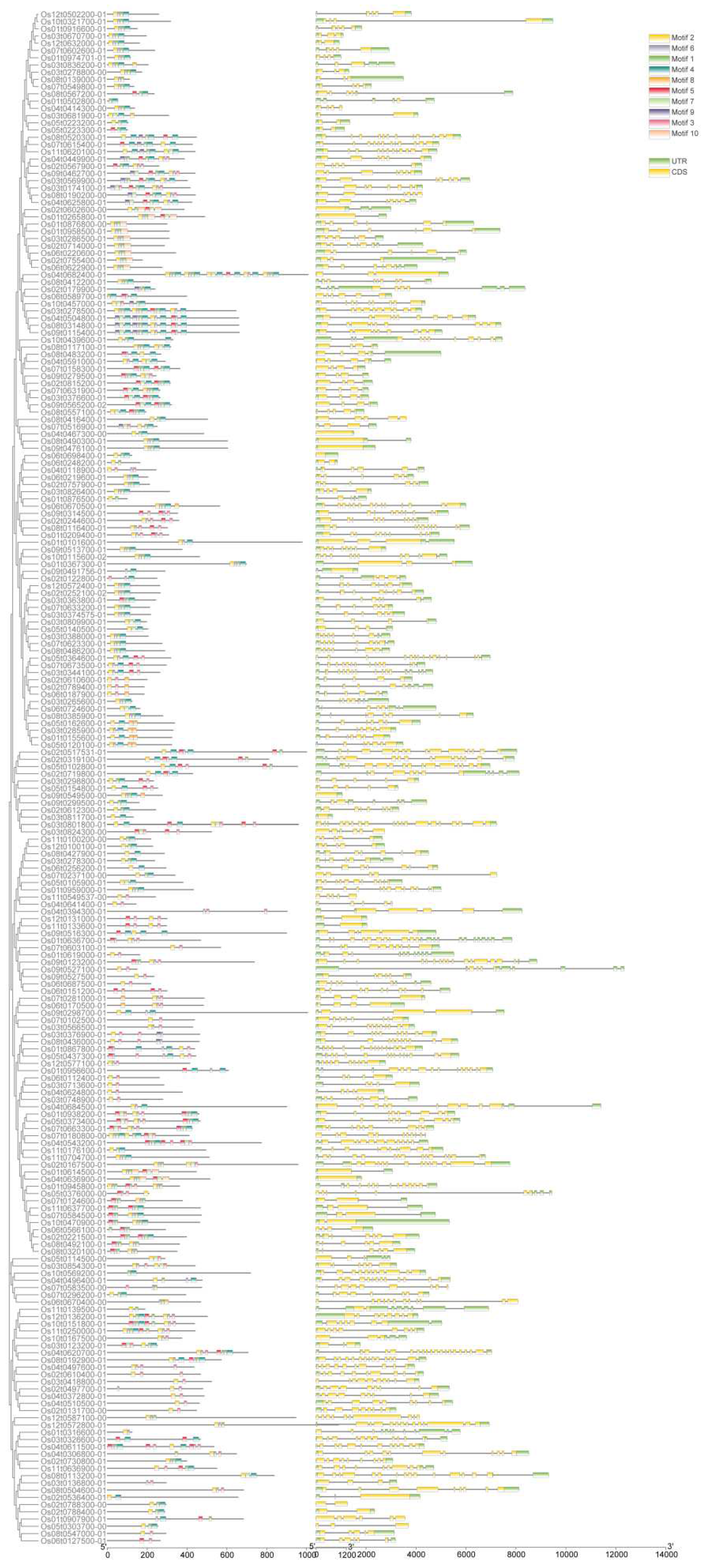 Preprints 83161 g004