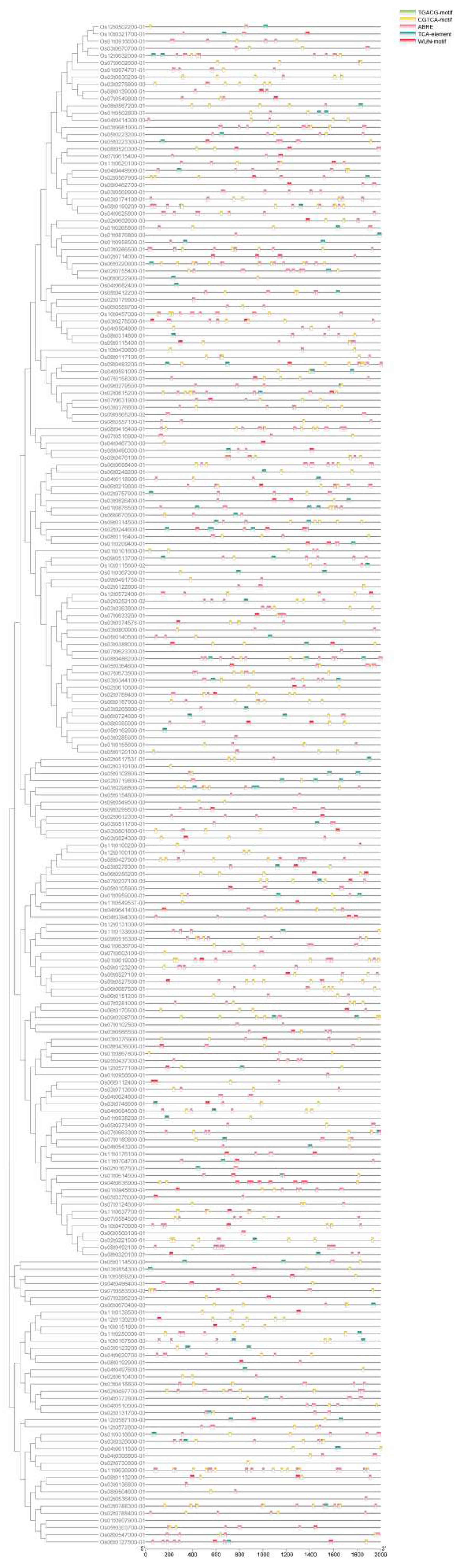 Preprints 83161 g007