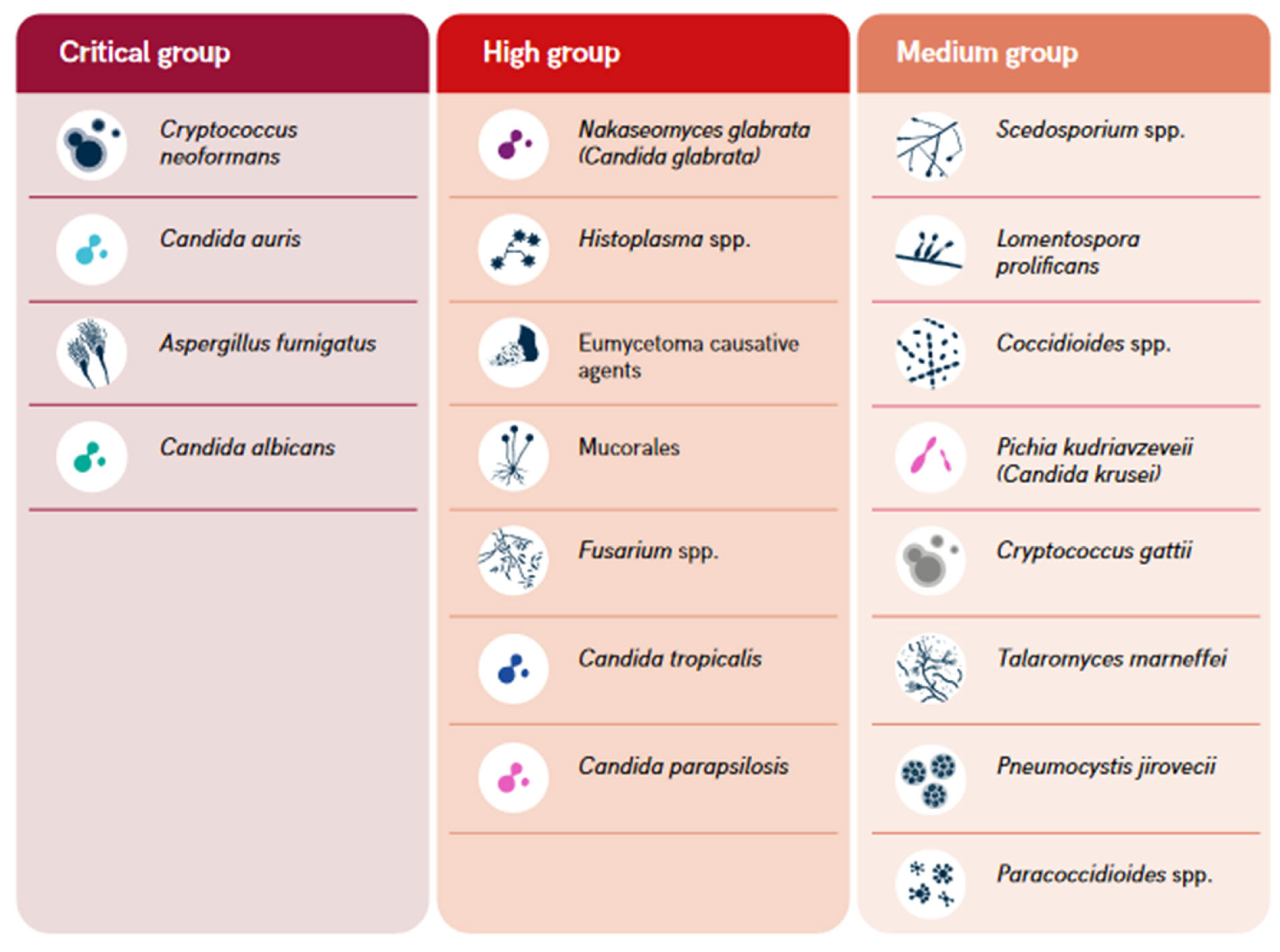 Preprints 111584 g001