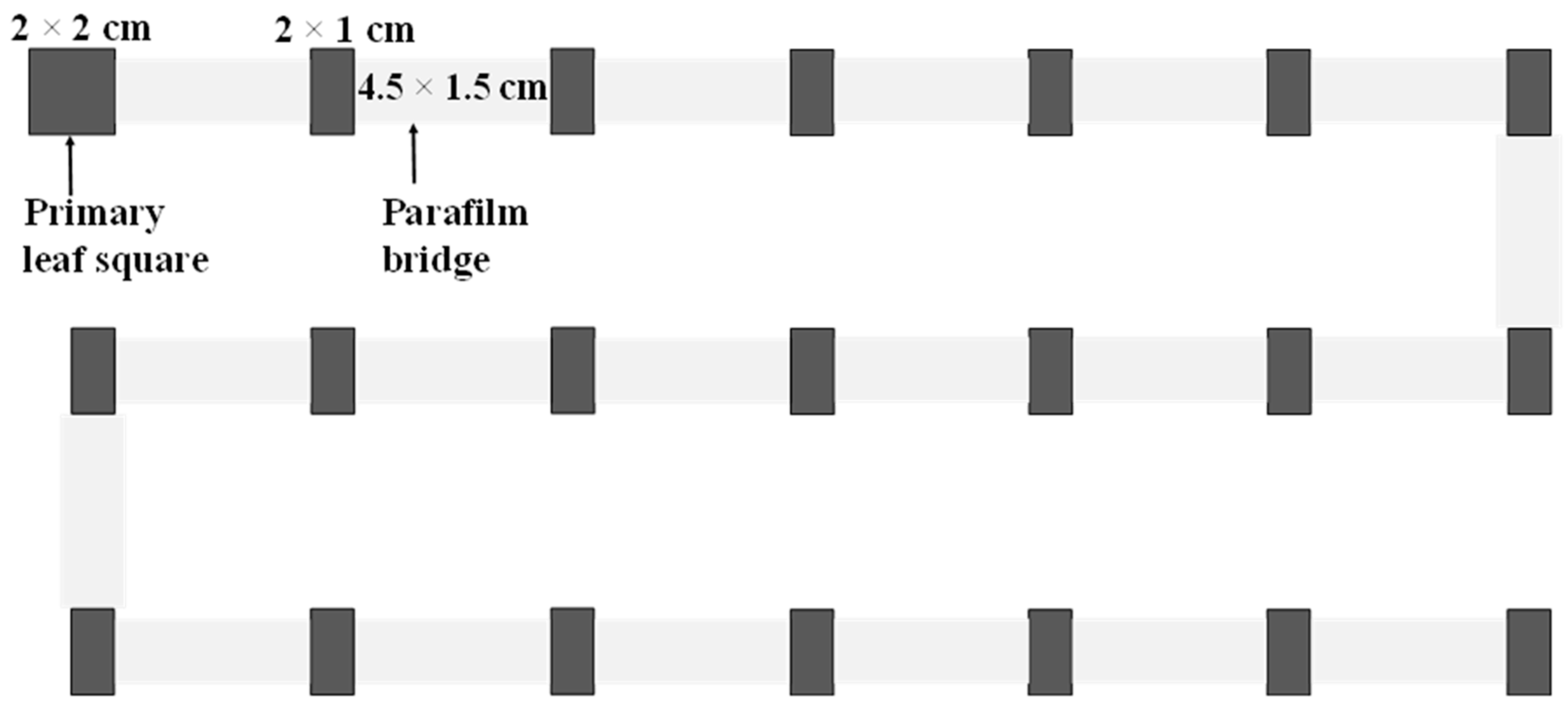 Preprints 103754 g001