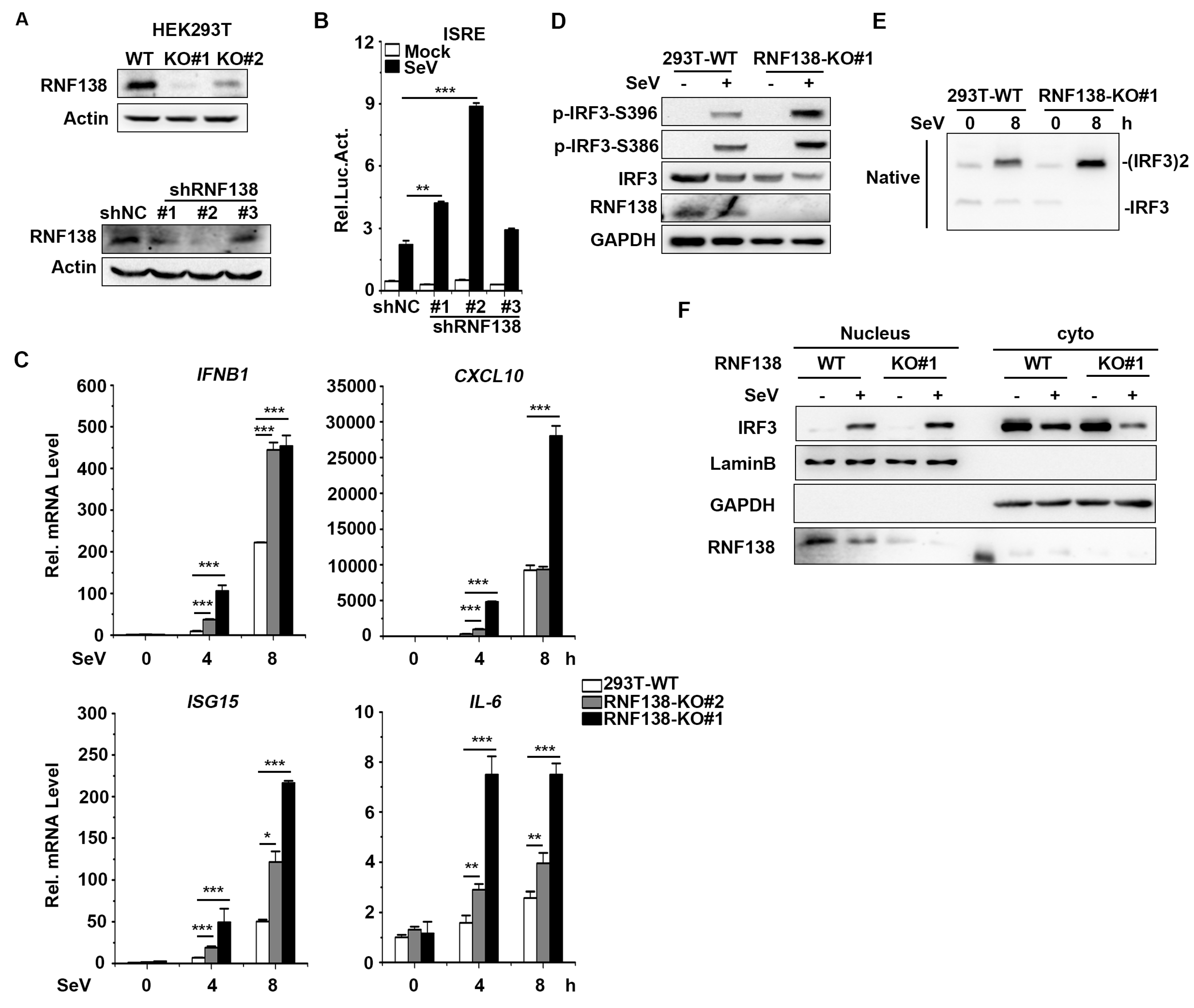 Preprints 88984 g002