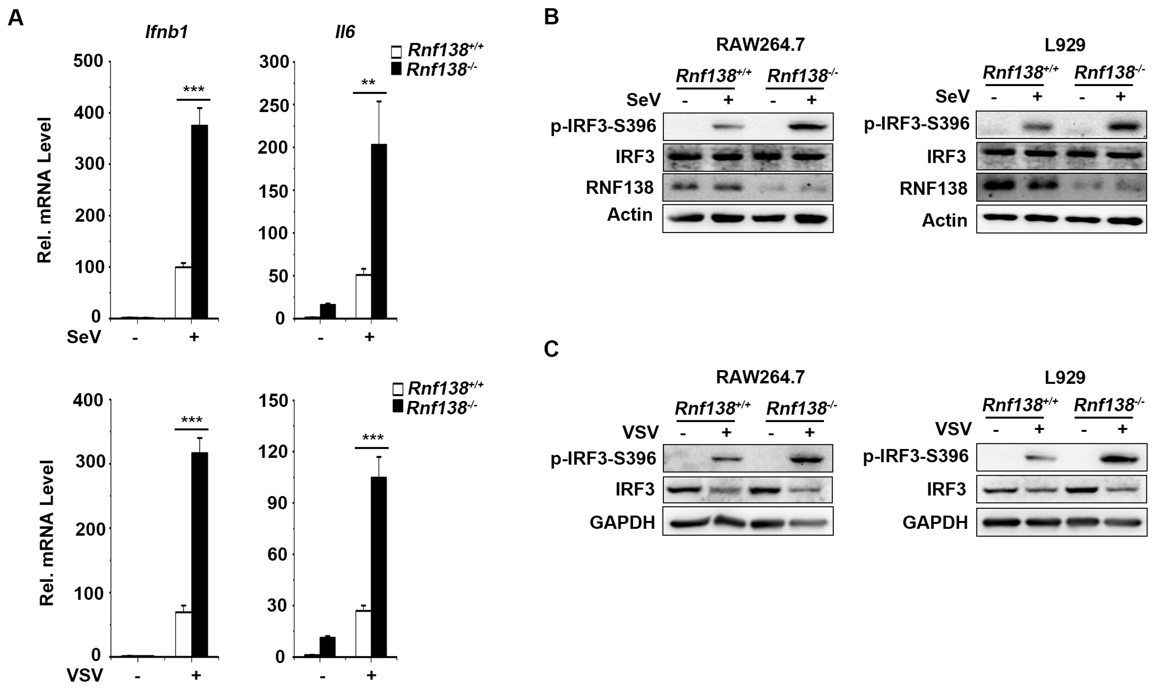 Preprints 88984 g003