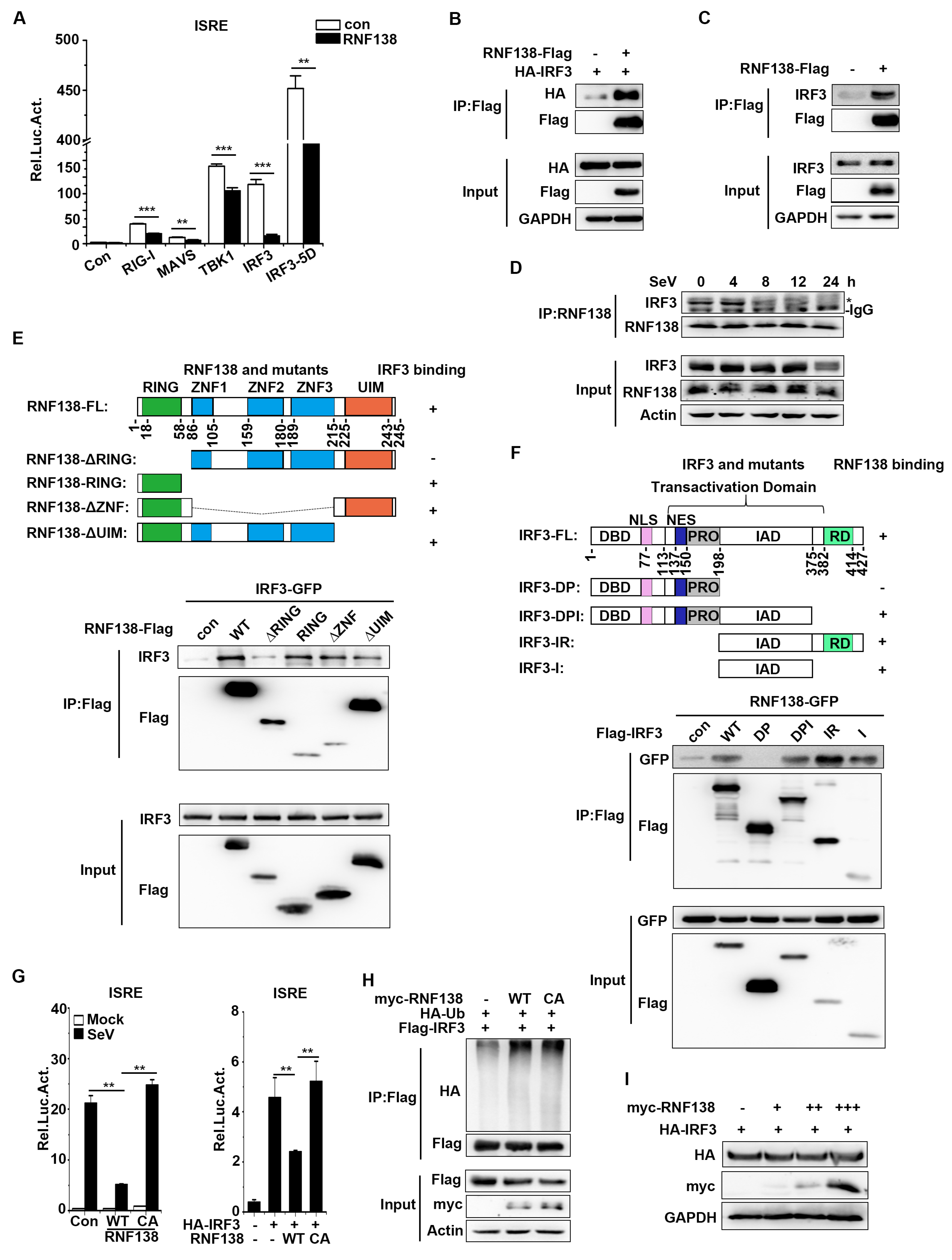 Preprints 88984 g004