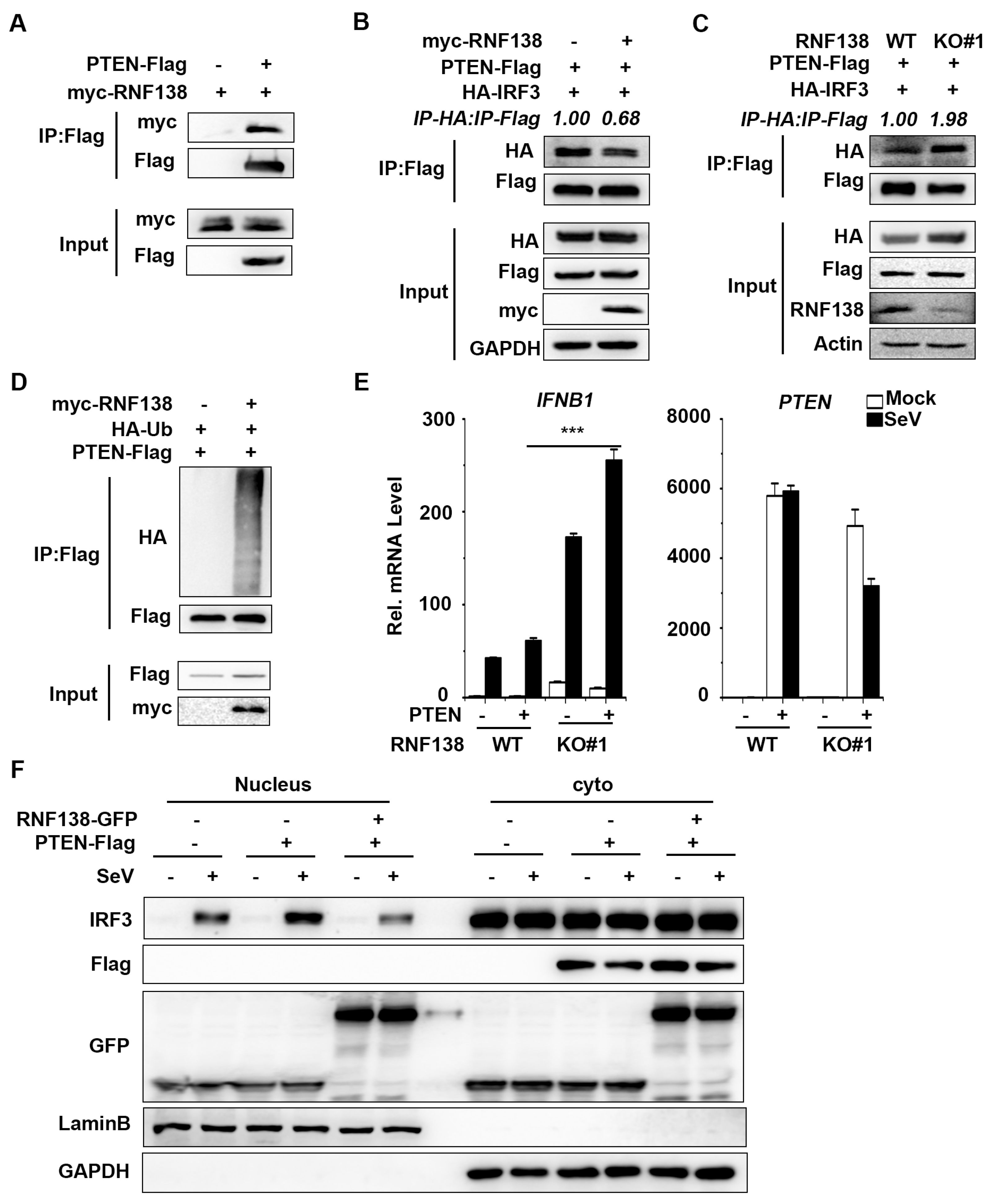 Preprints 88984 g005