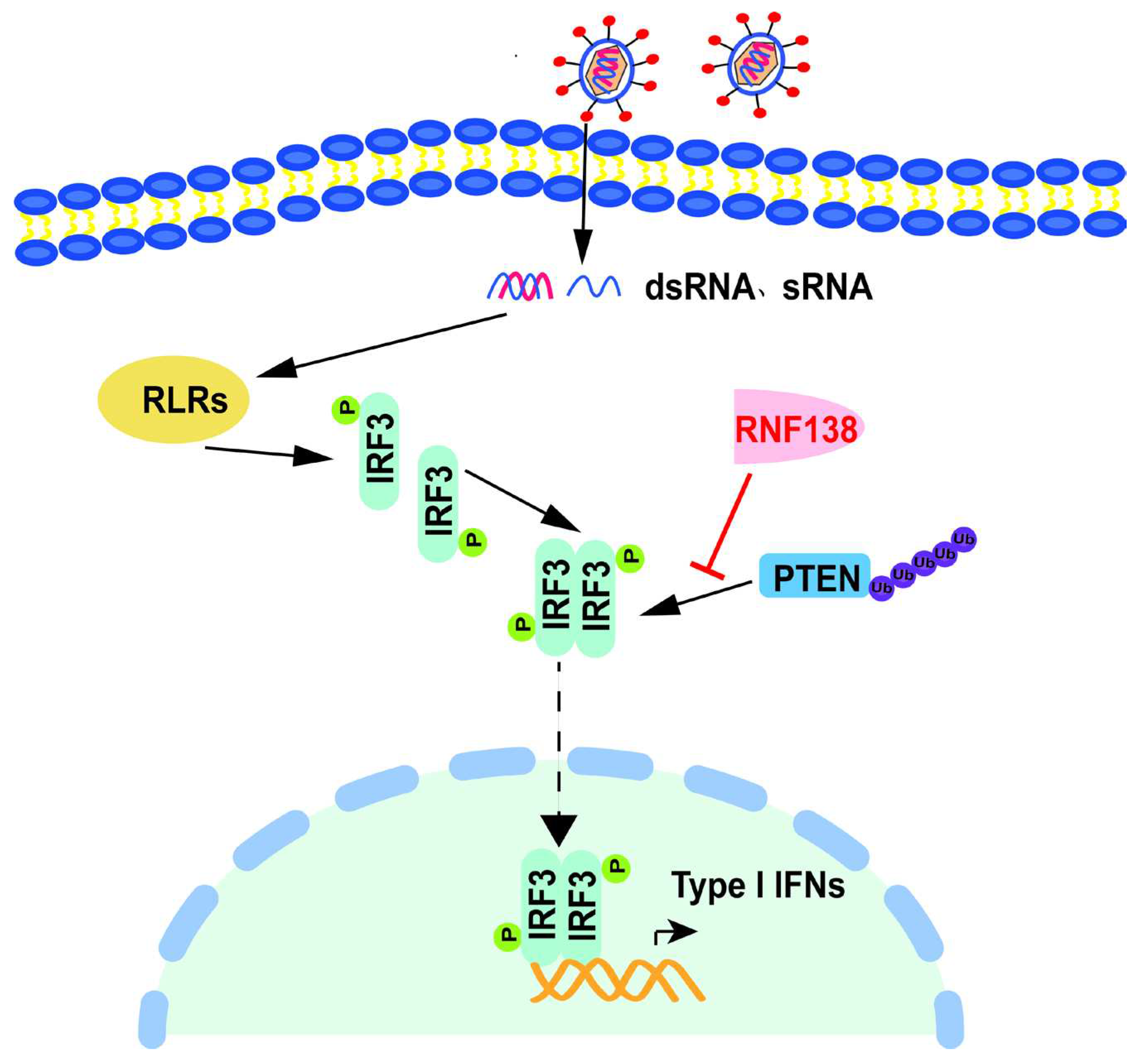 Preprints 88984 g006