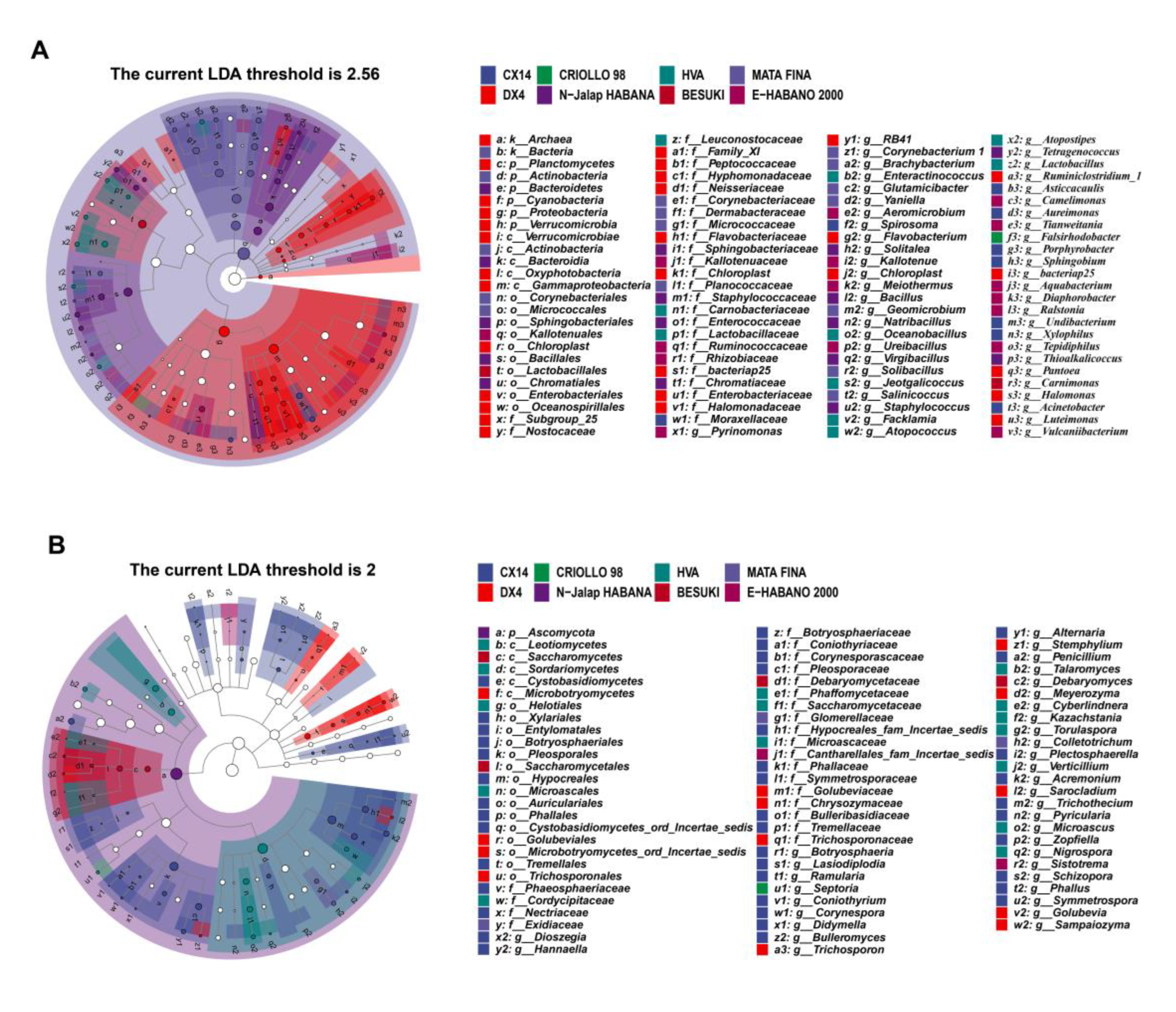 Preprints 68655 g002