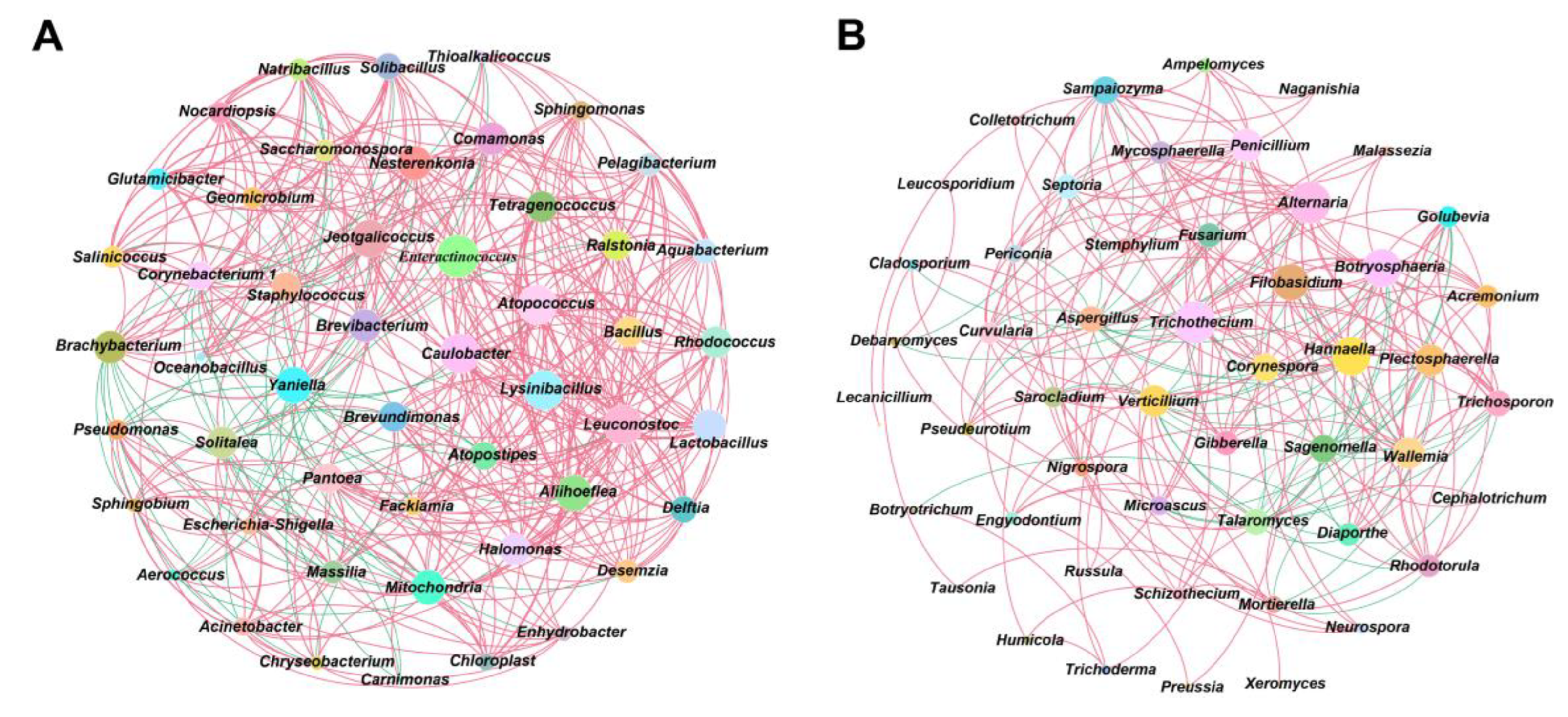 Preprints 68655 g003