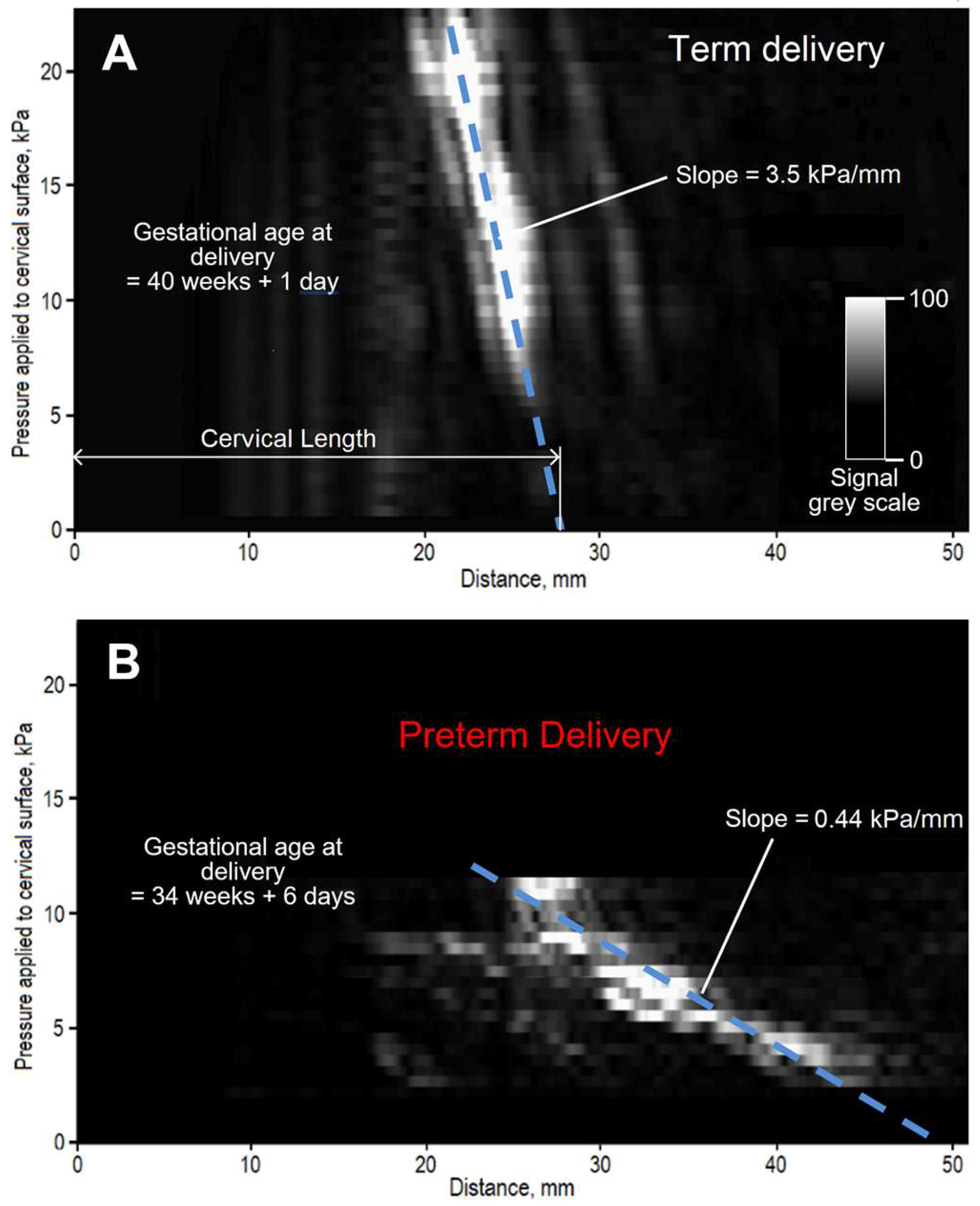 Preprints 94965 g003