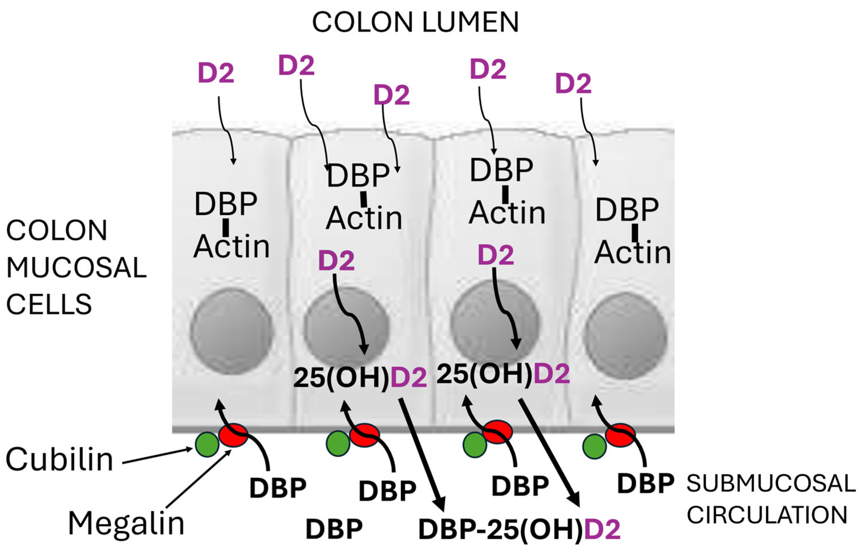 Preprints 120214 g003