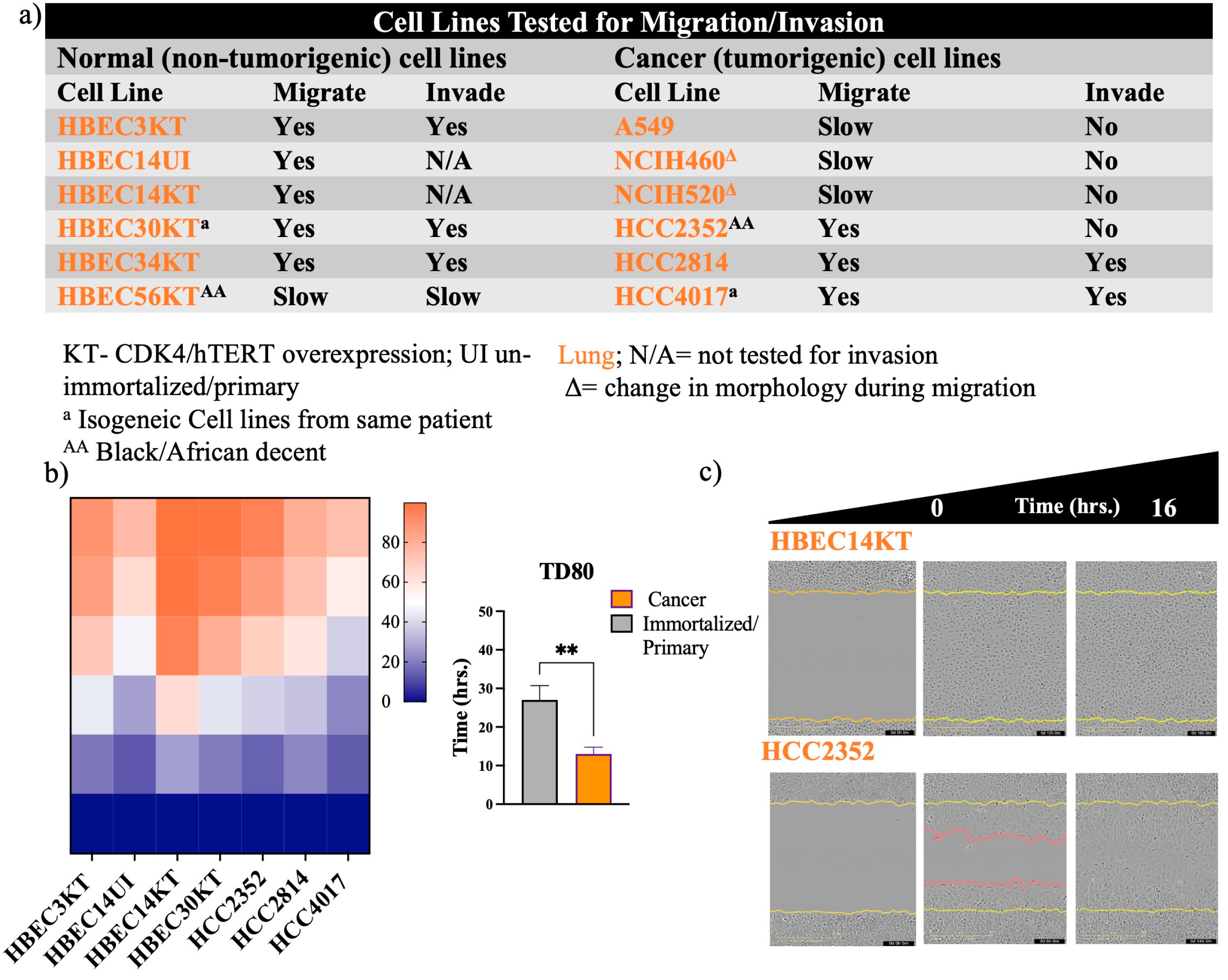 Preprints 89351 g001