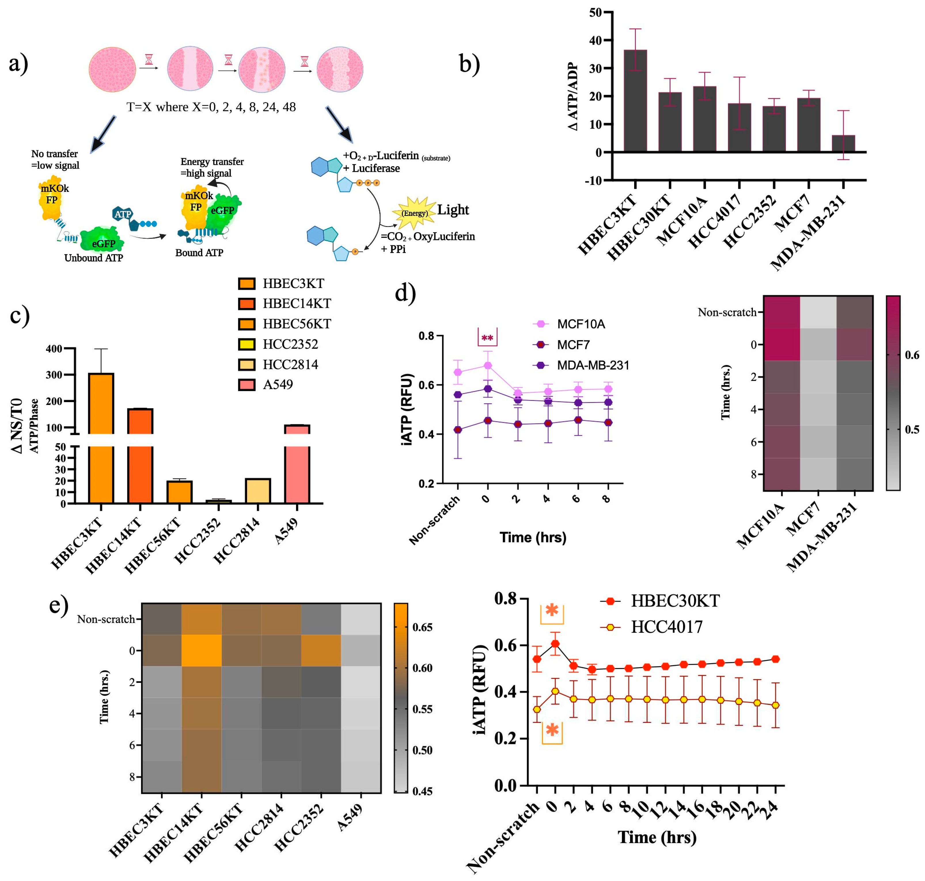 Preprints 89351 g005