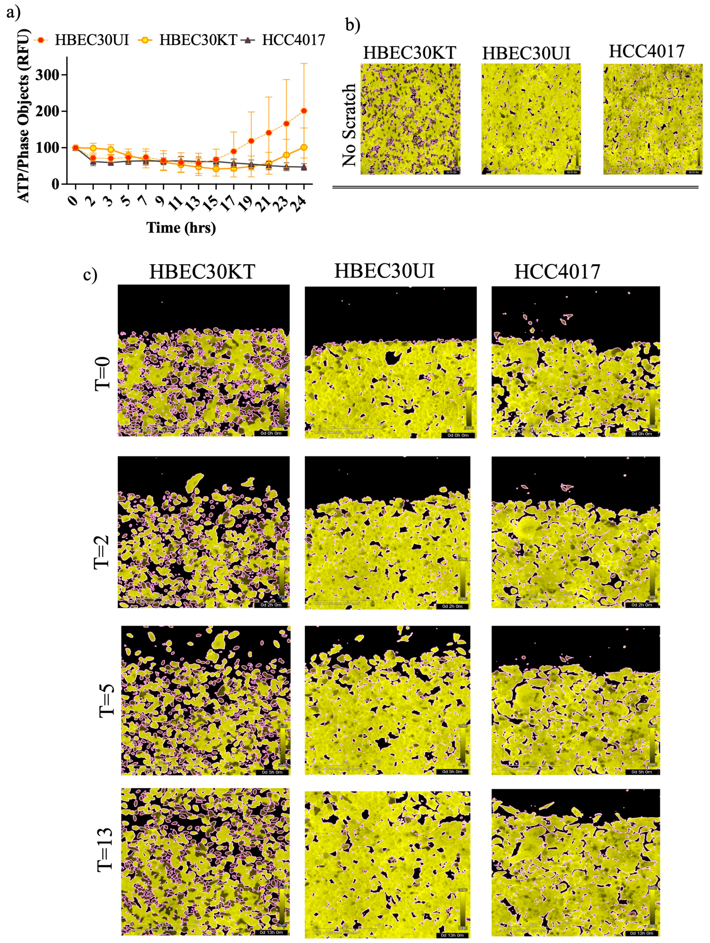 Preprints 89351 g006