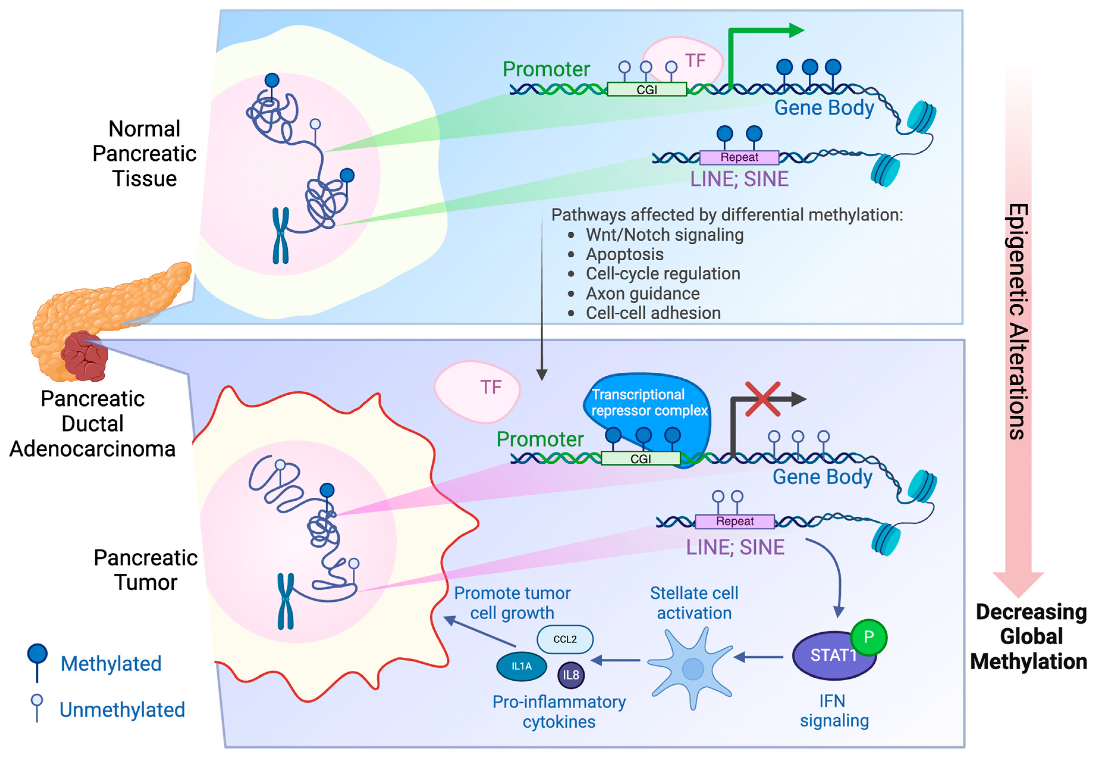 Preprints 116851 g001