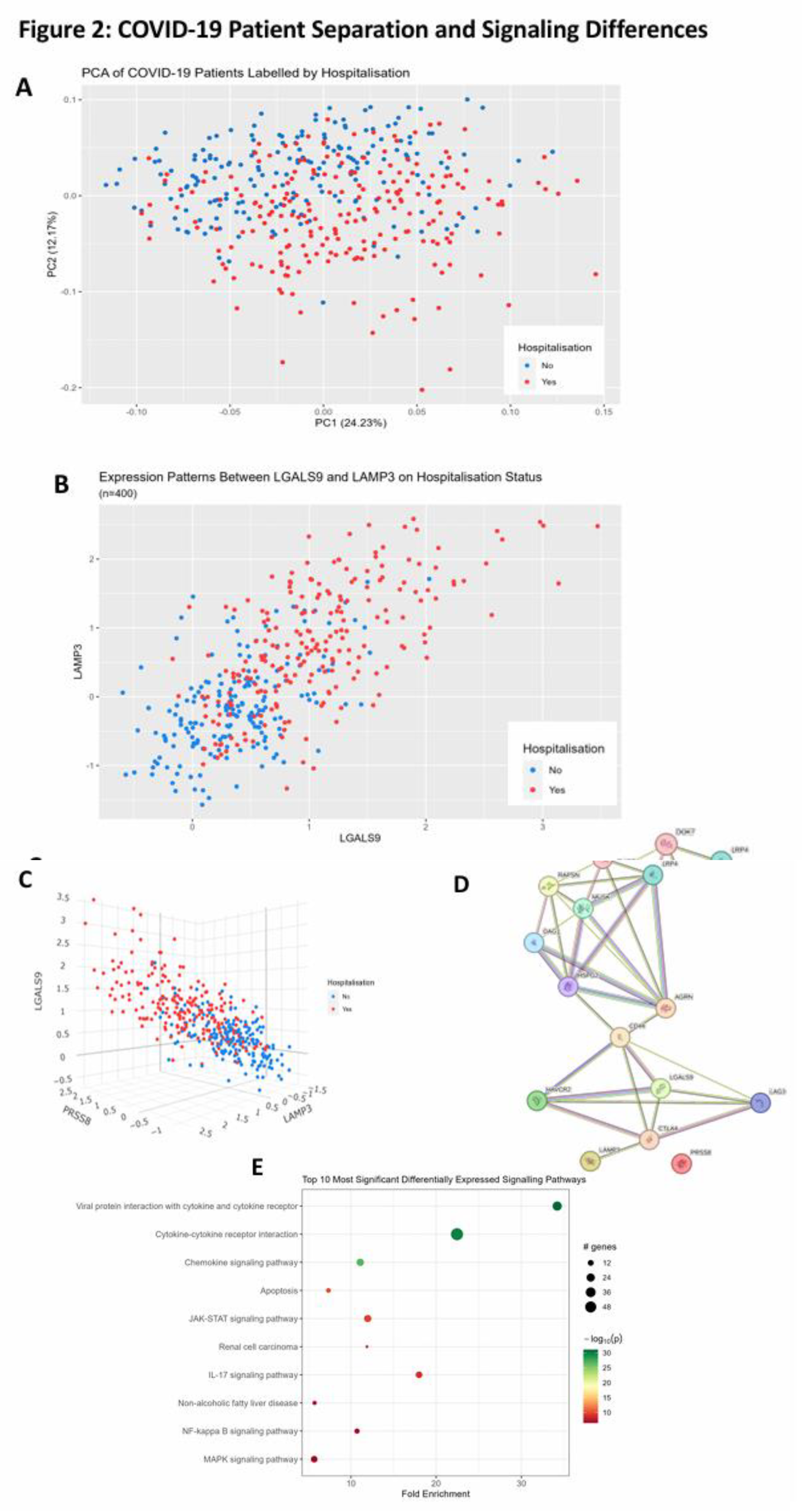 Preprints 116184 g002