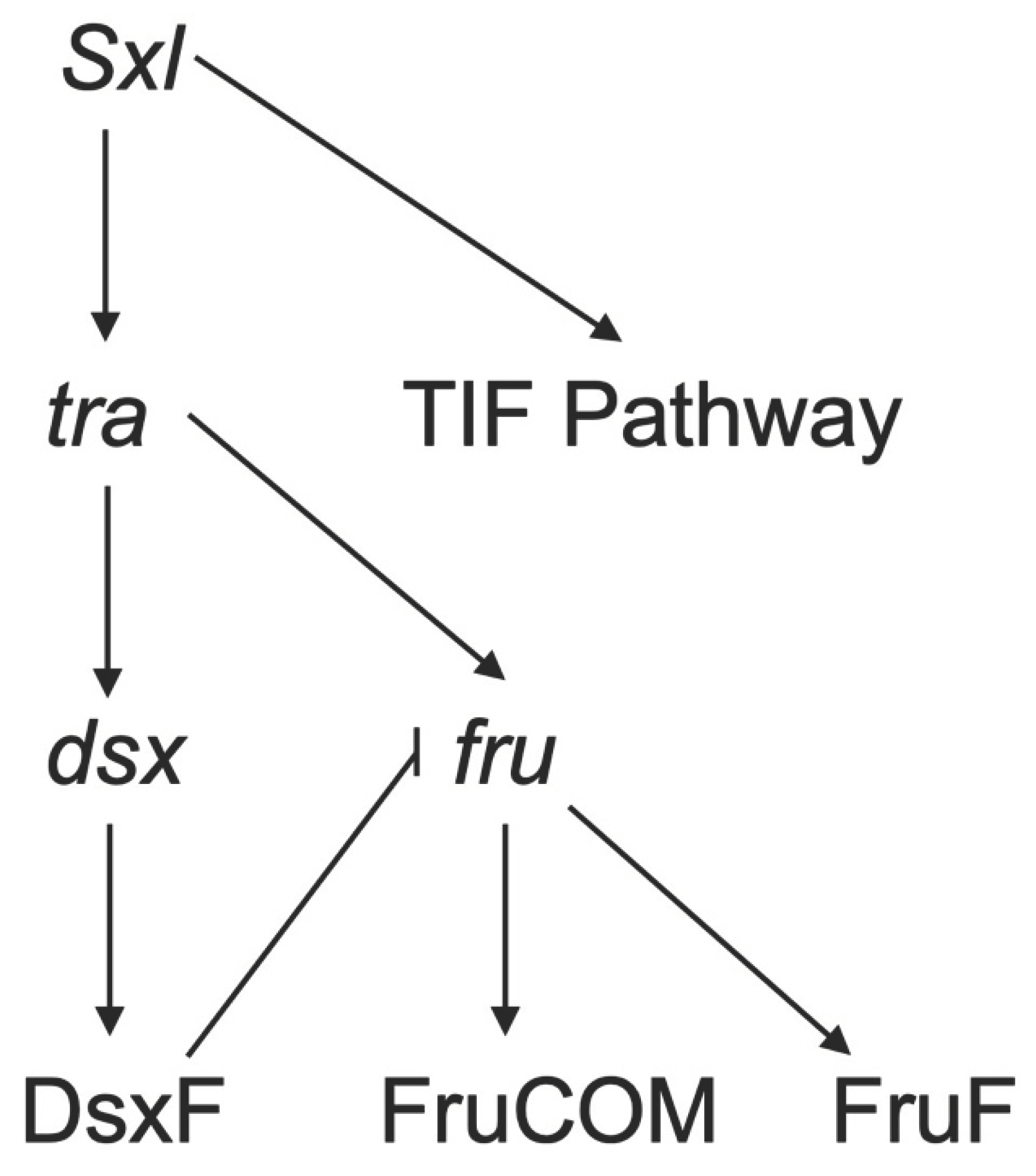 Preprints 99942 g003