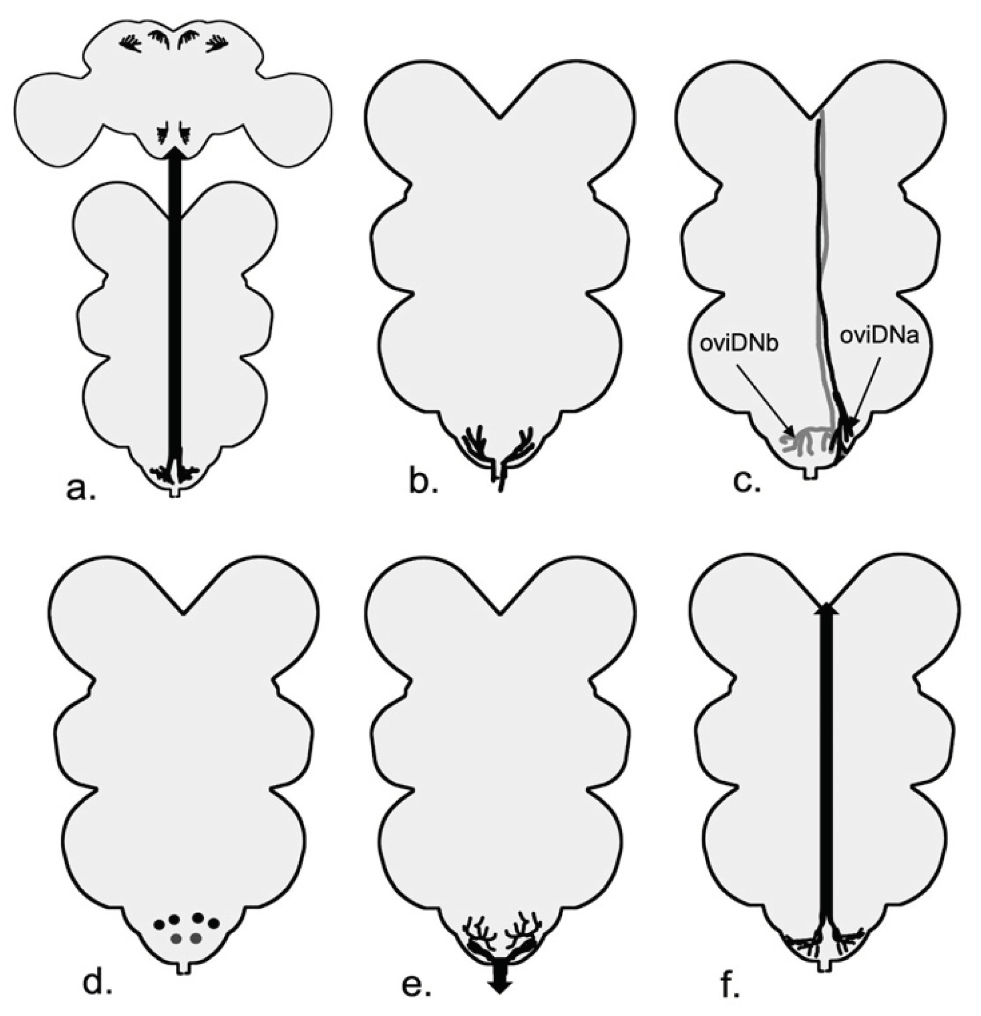 Preprints 99942 g005