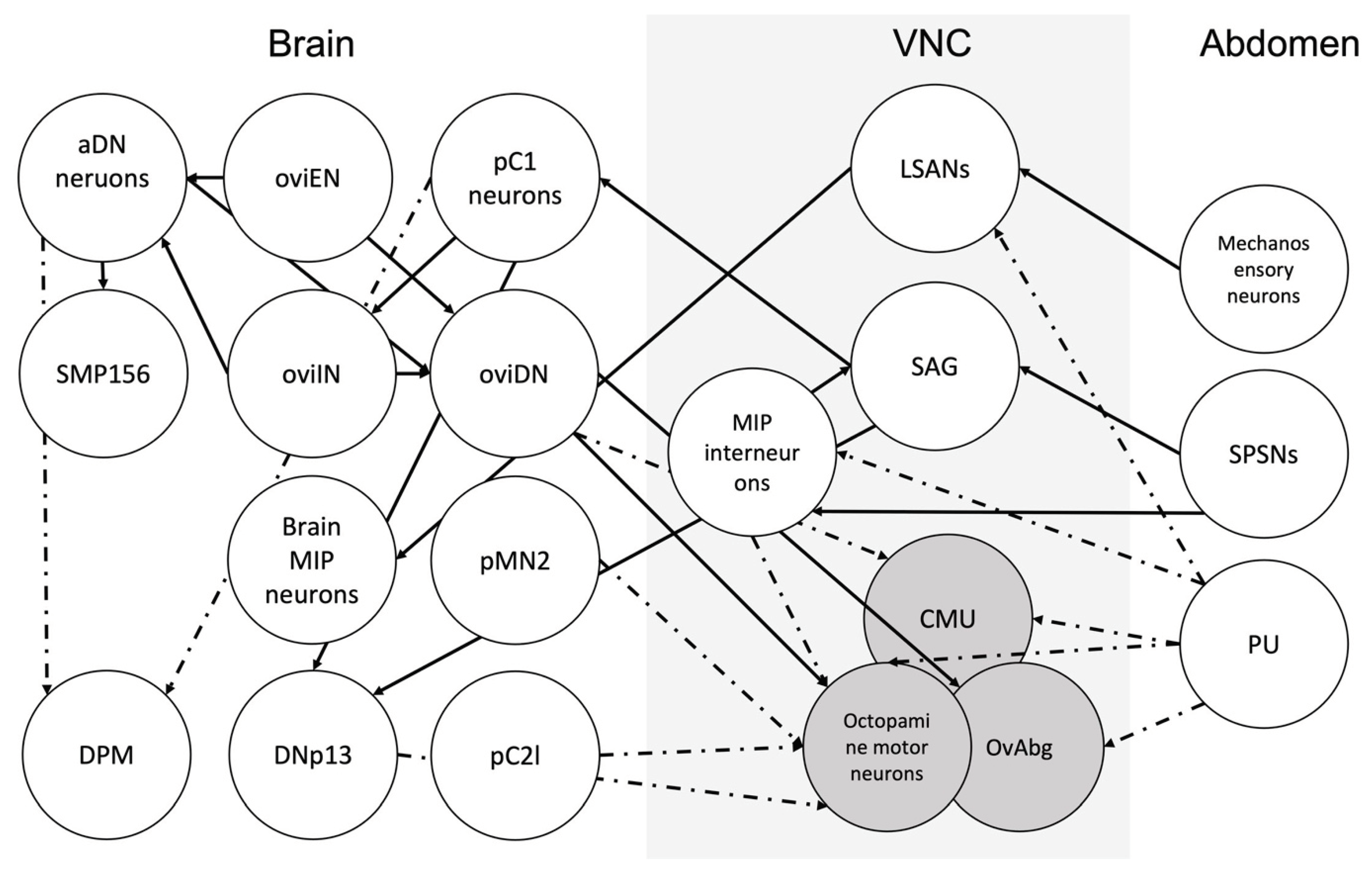 Preprints 99942 g007