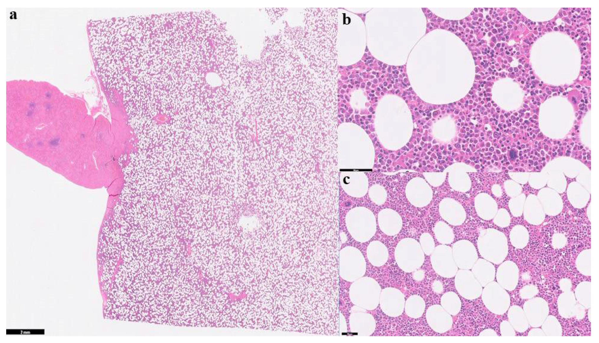 Preprints 105444 g004