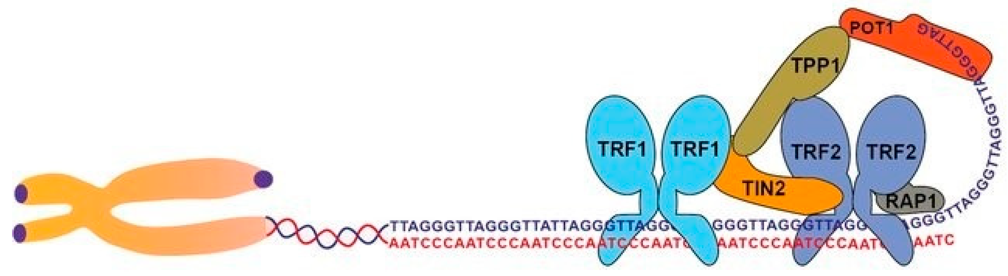 Preprints 94069 g001