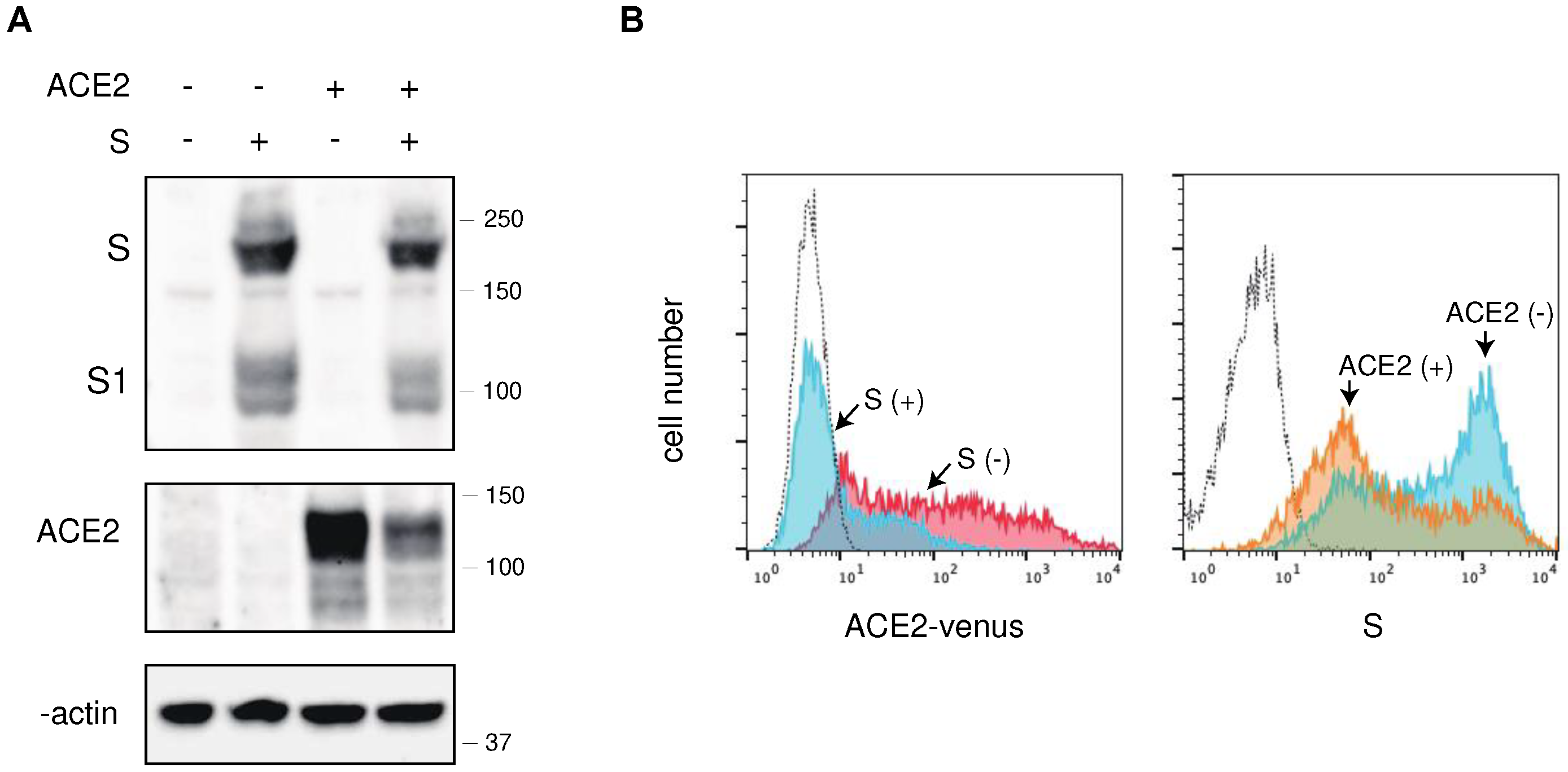 Preprints 93399 g001