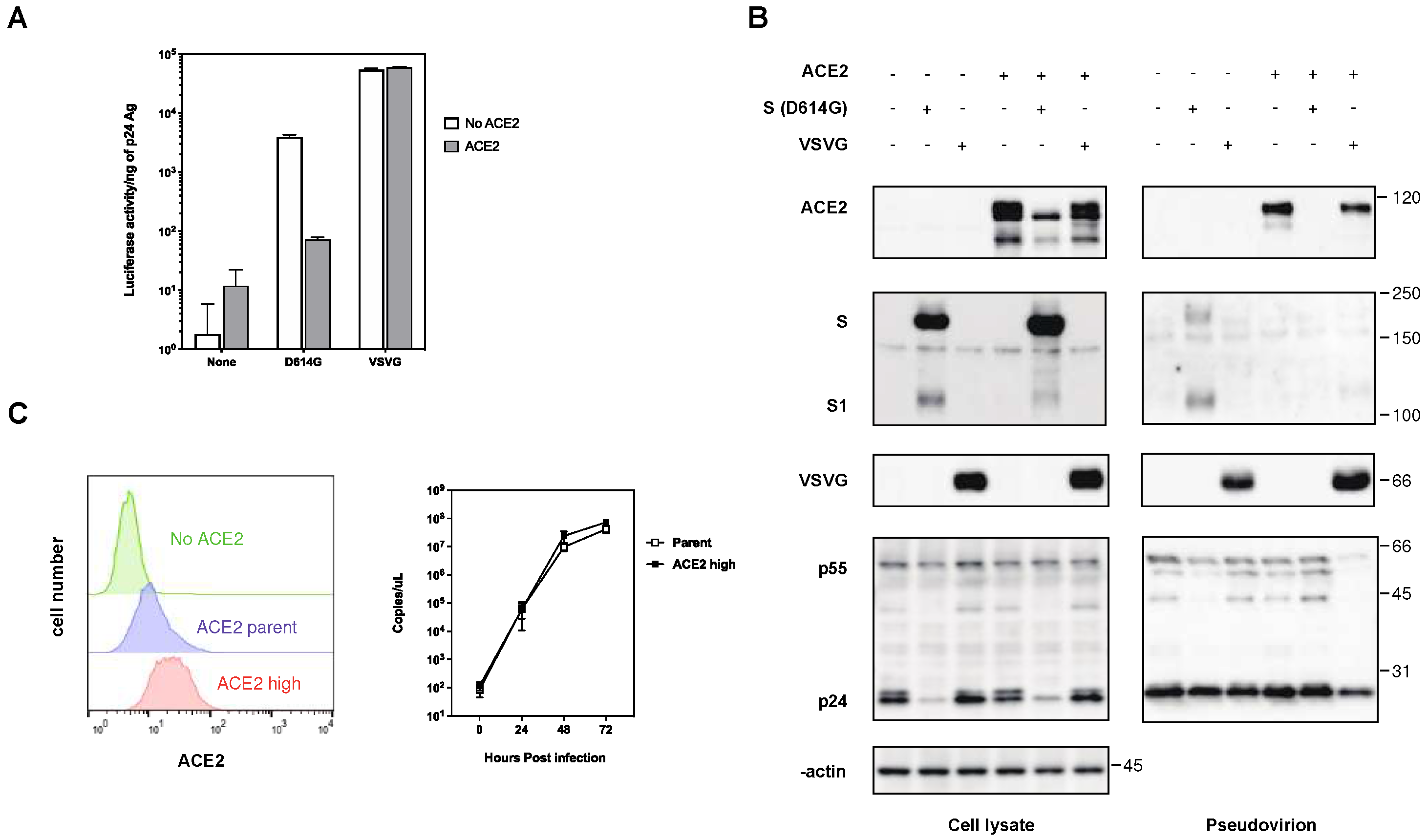 Preprints 93399 g002