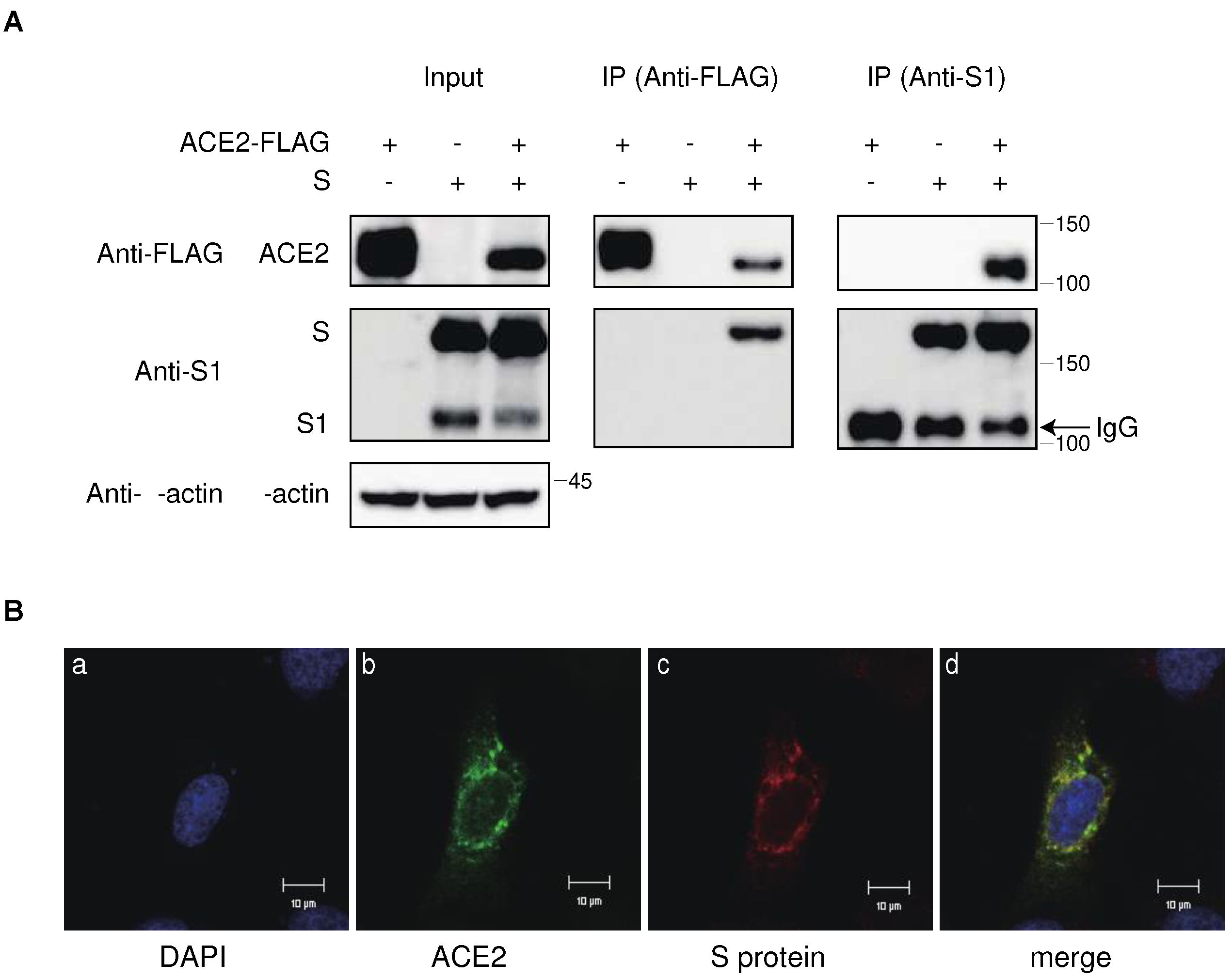 Preprints 93399 g003