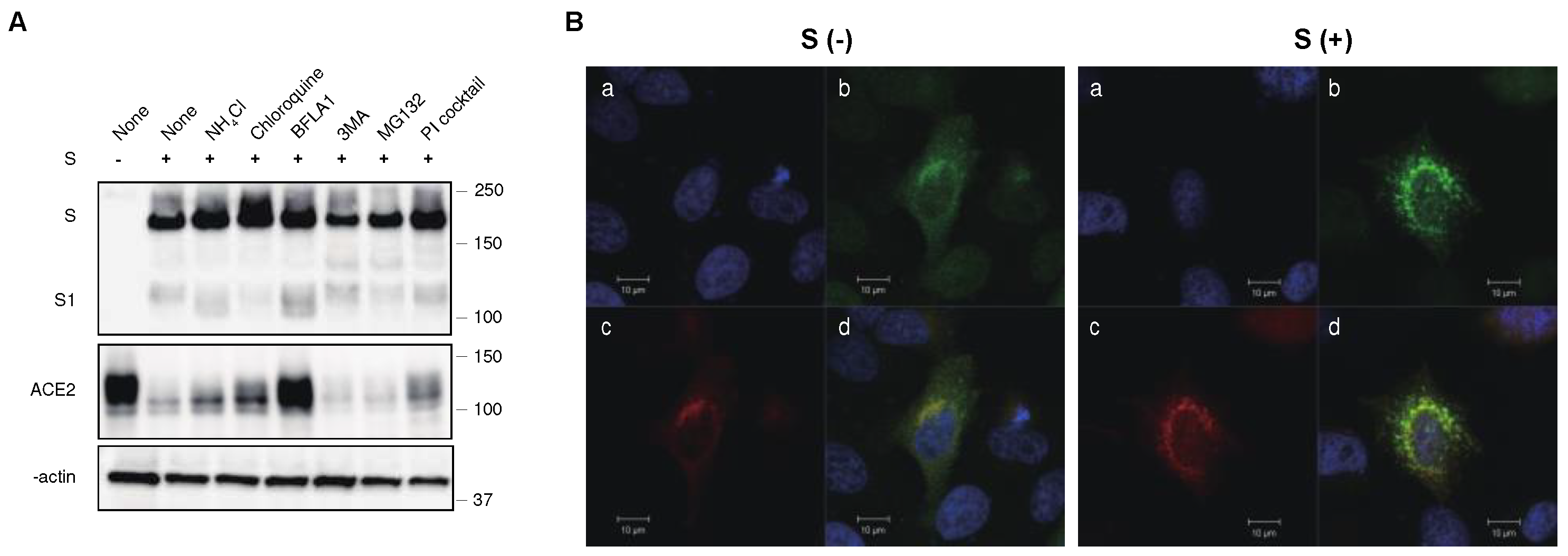 Preprints 93399 g004