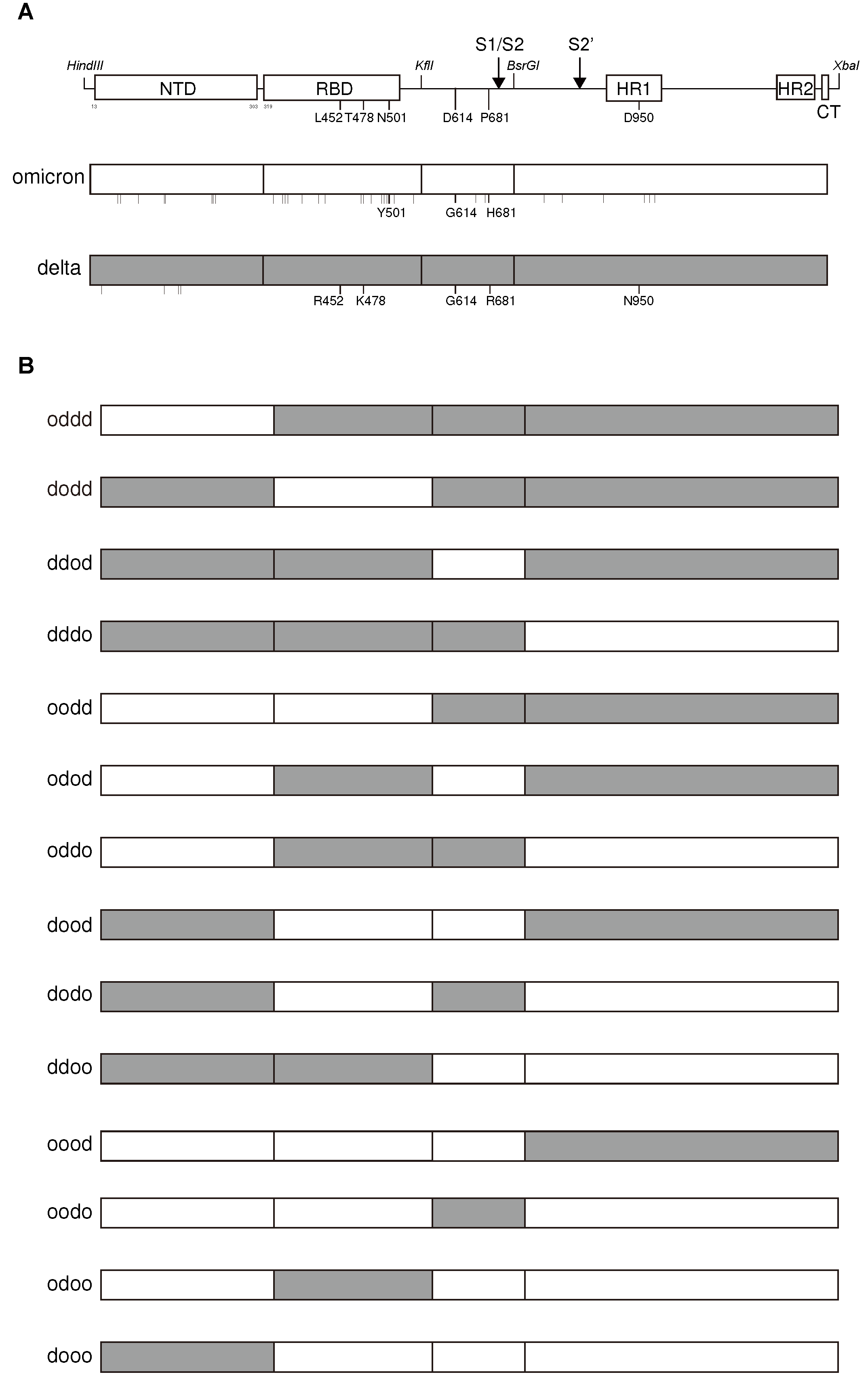 Preprints 93399 g006