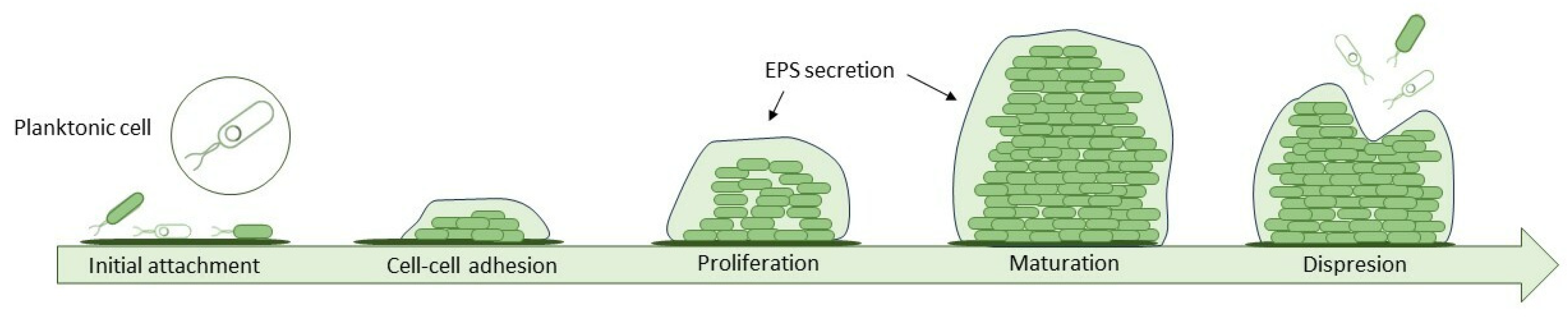 Preprints 81615 g002