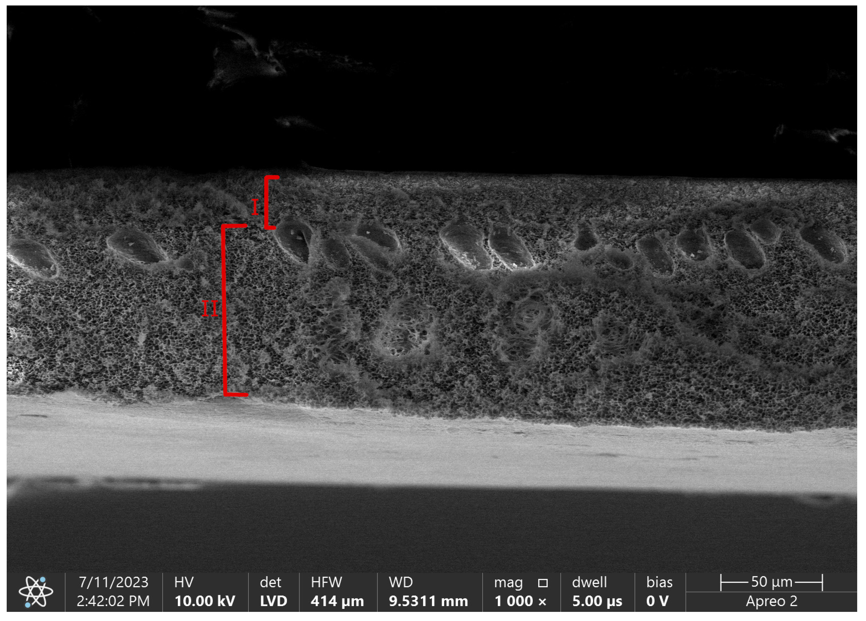 Preprints 81615 g004