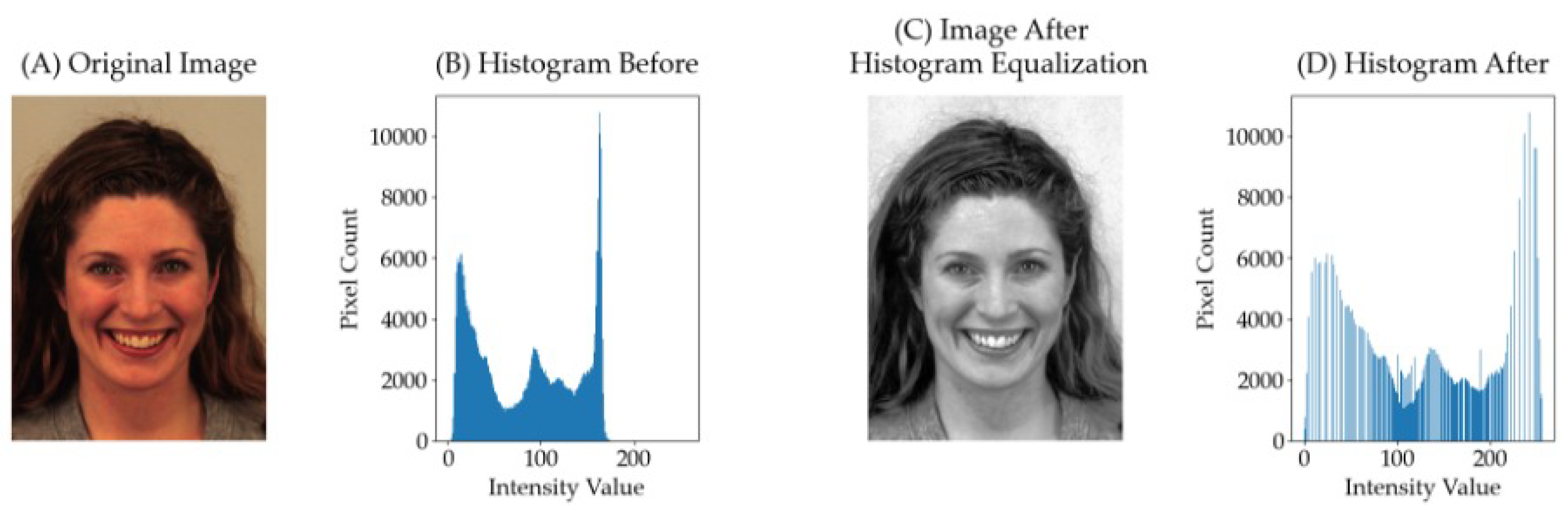 Preprints 104072 g002