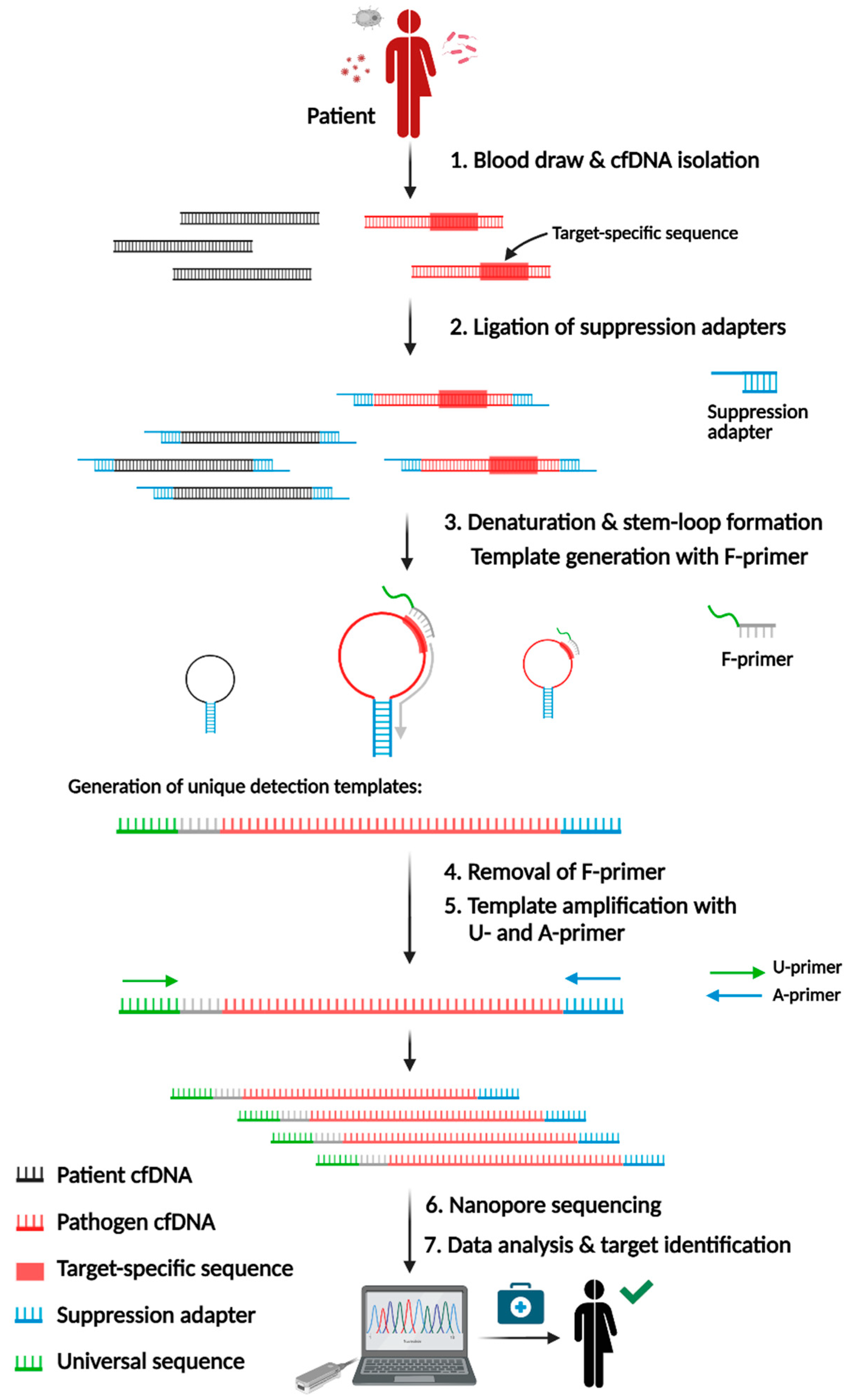 Preprints 104378 g001