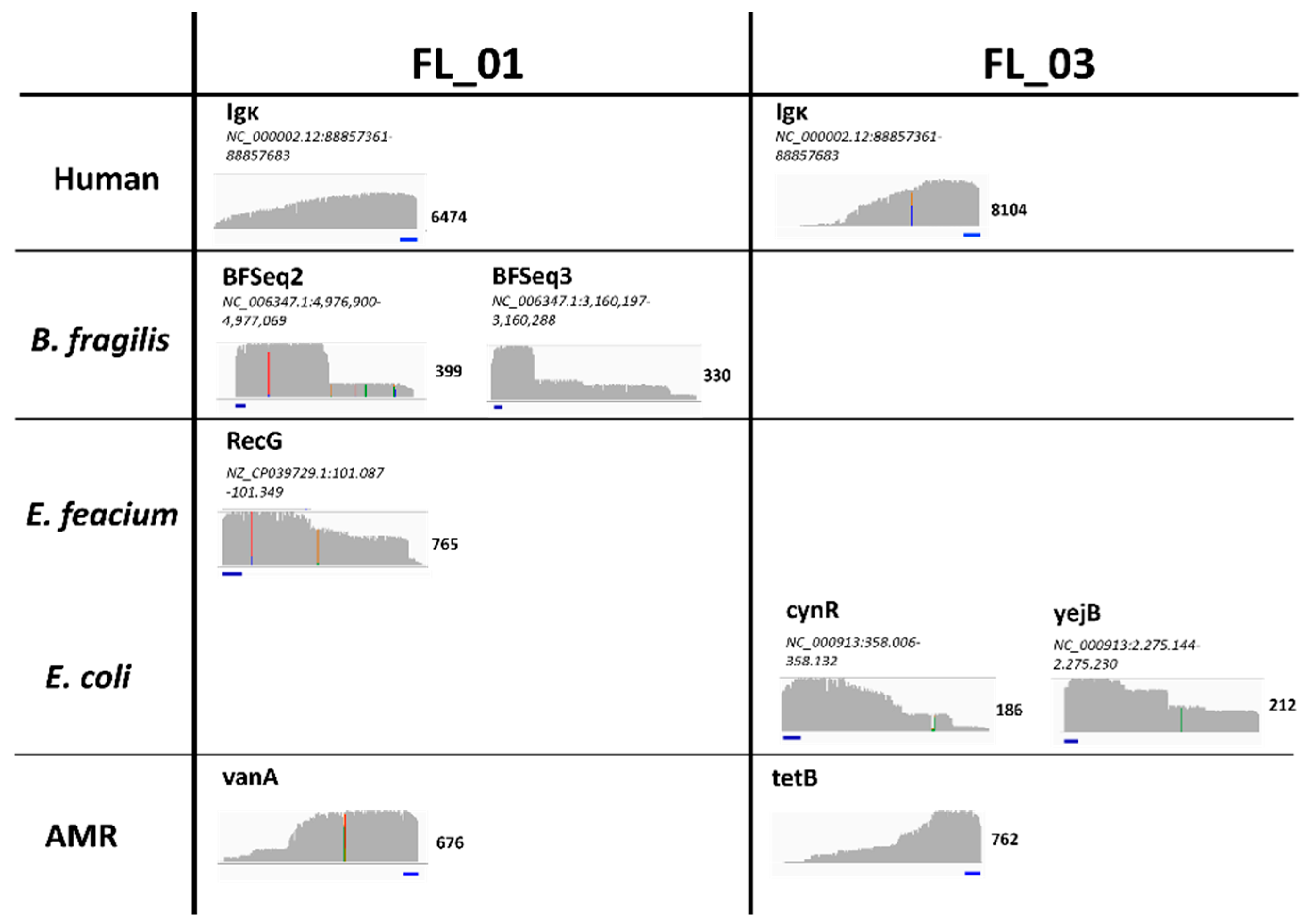 Preprints 104378 g003