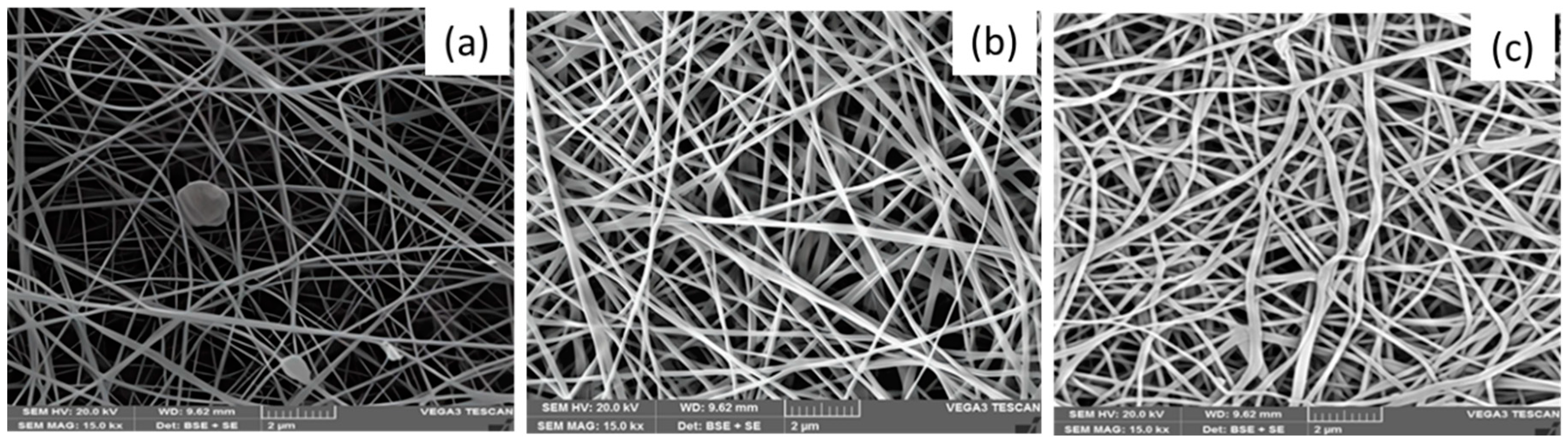 Preprints 89448 g004