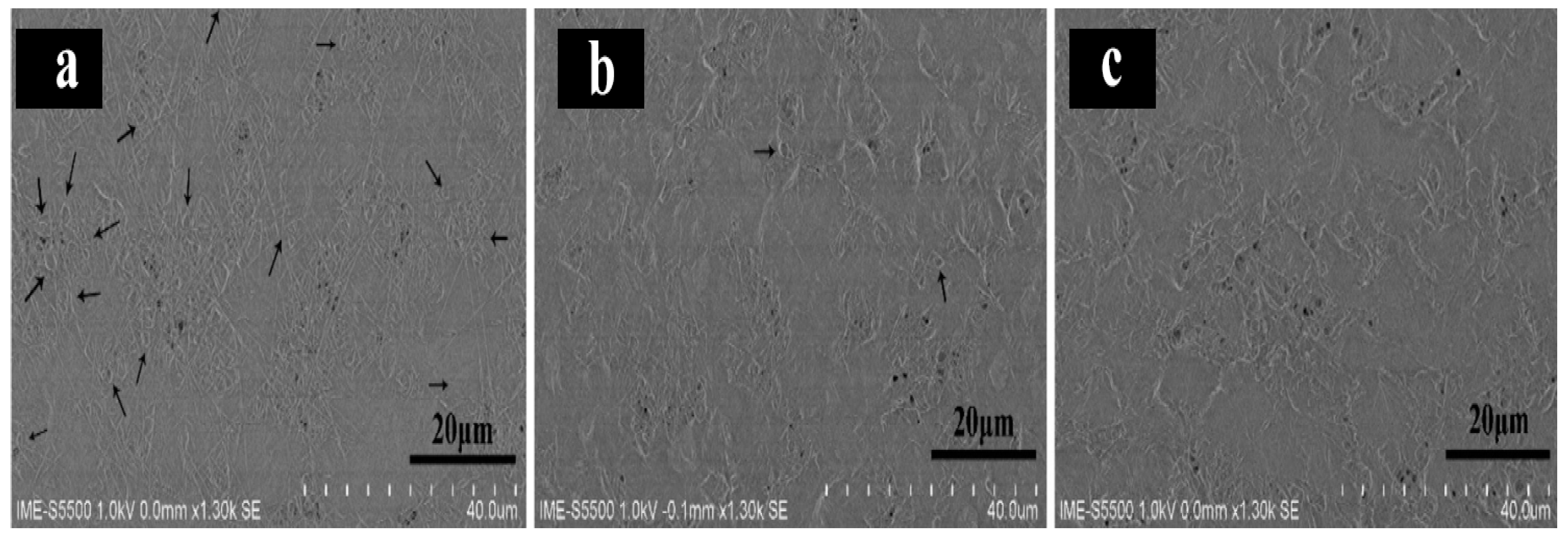 Preprints 89448 g008