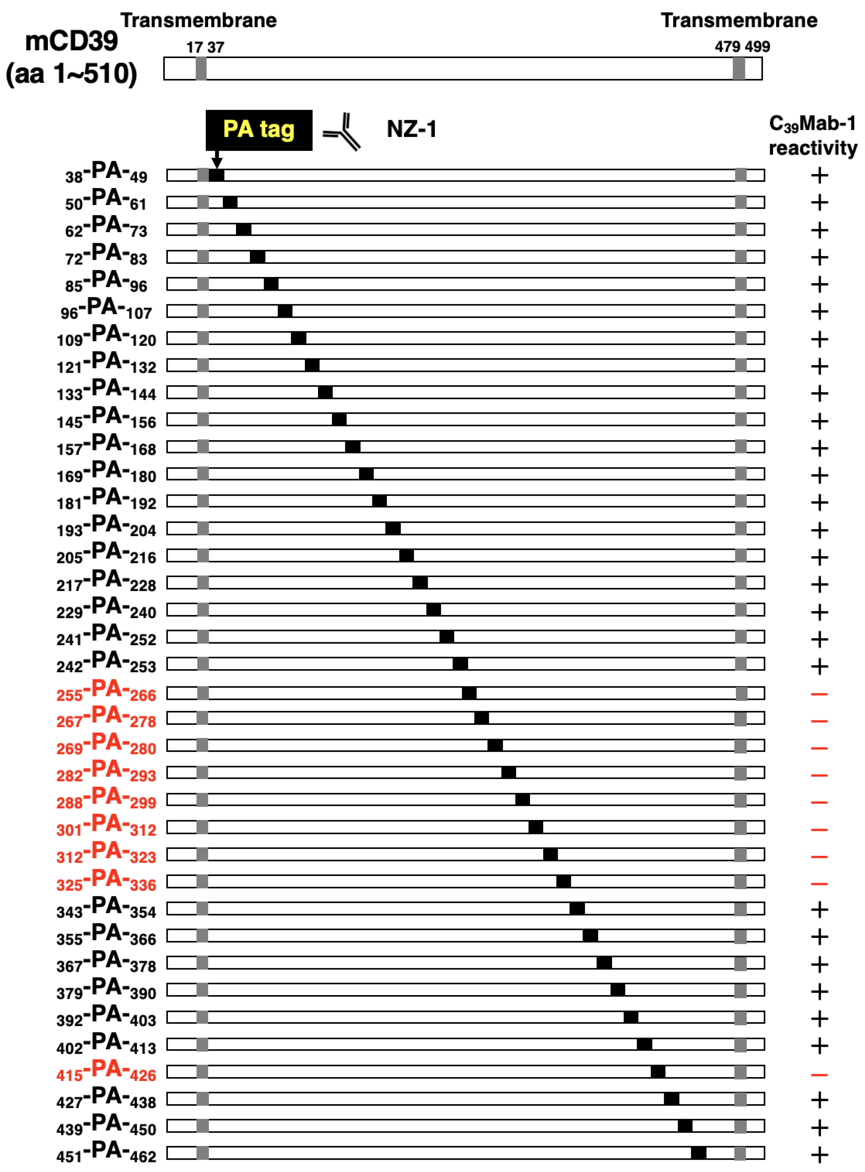 Preprints 92457 g001