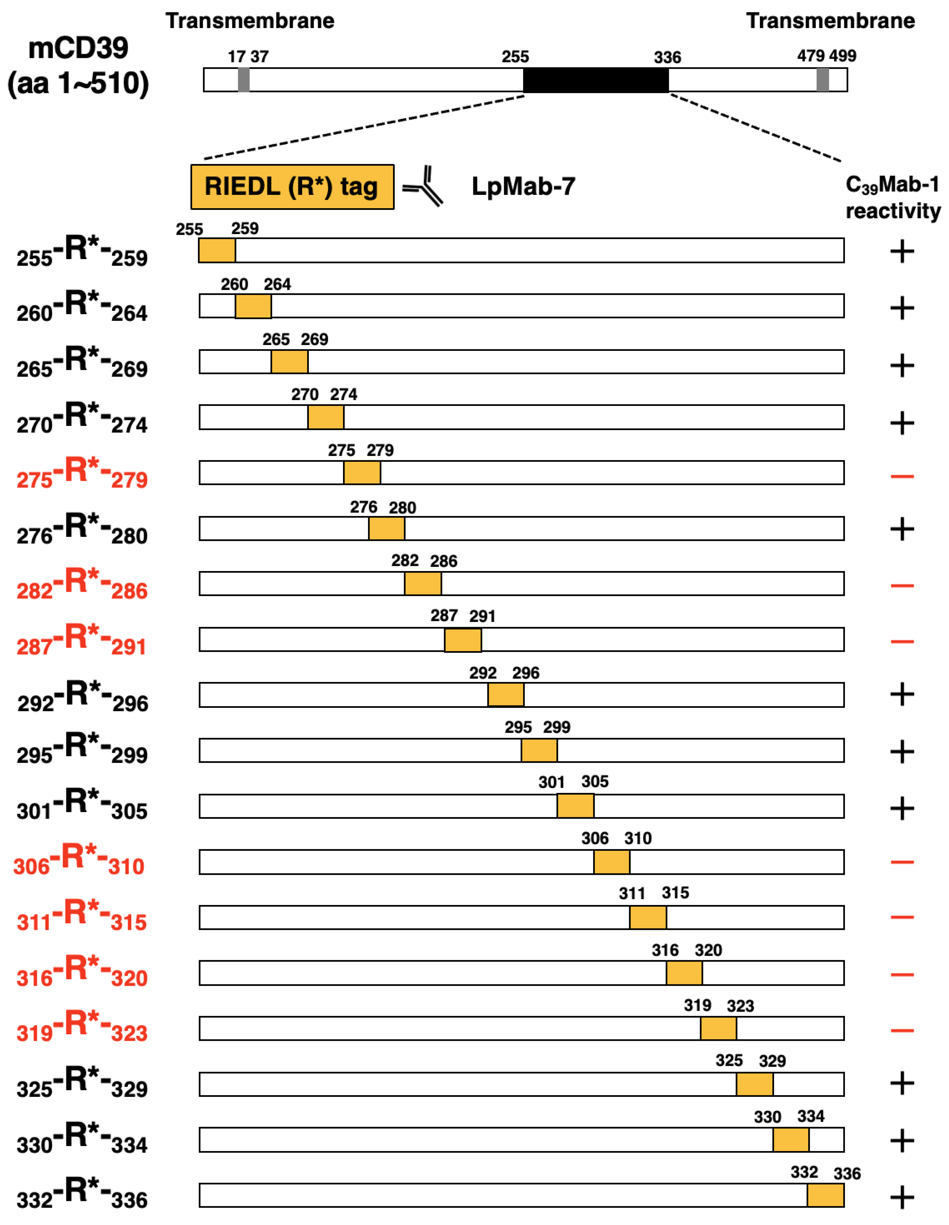 Preprints 92457 g003