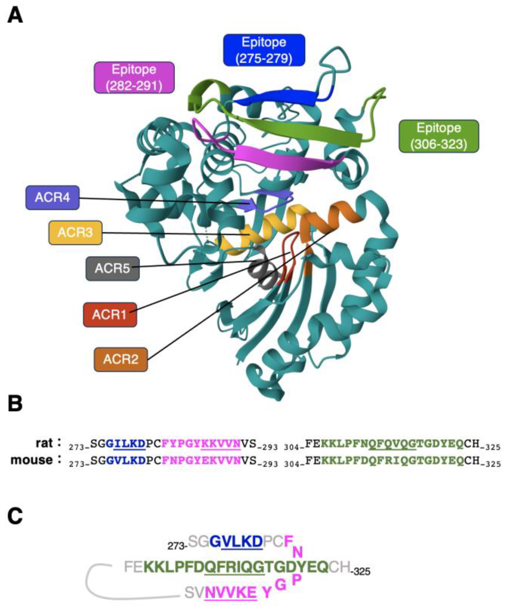 Preprints 92457 g005