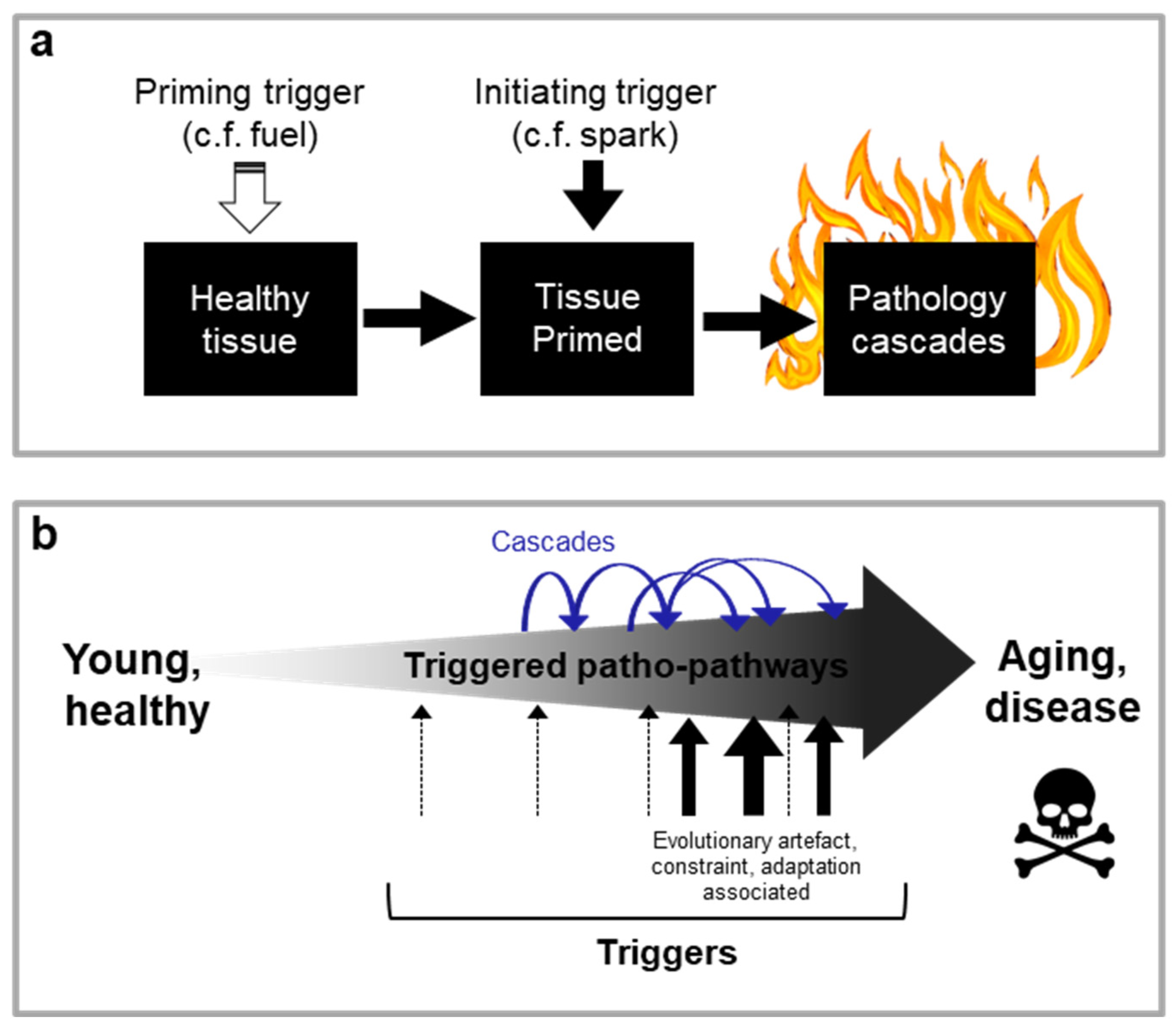 Preprints 121074 g002