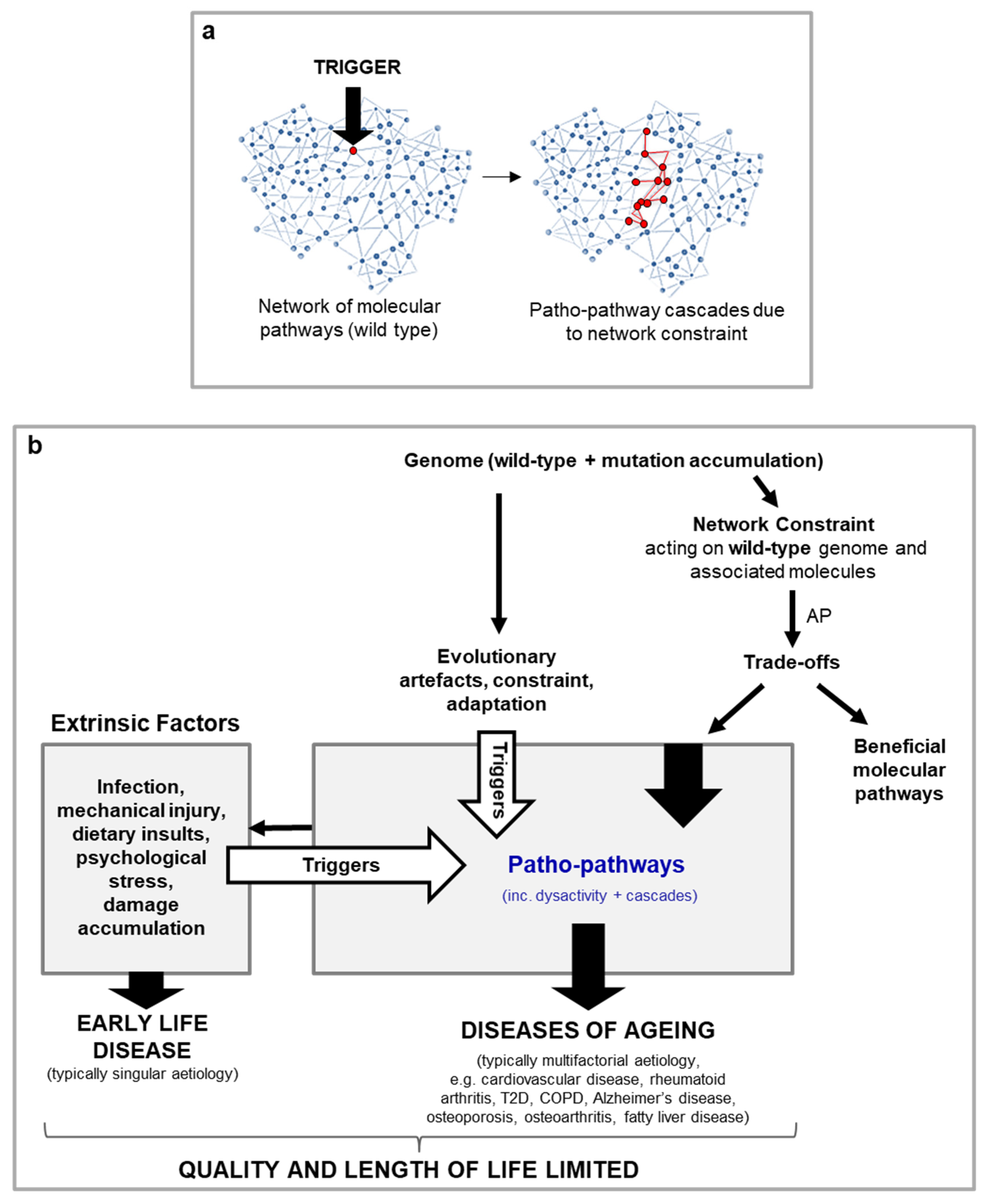 Preprints 121074 g004