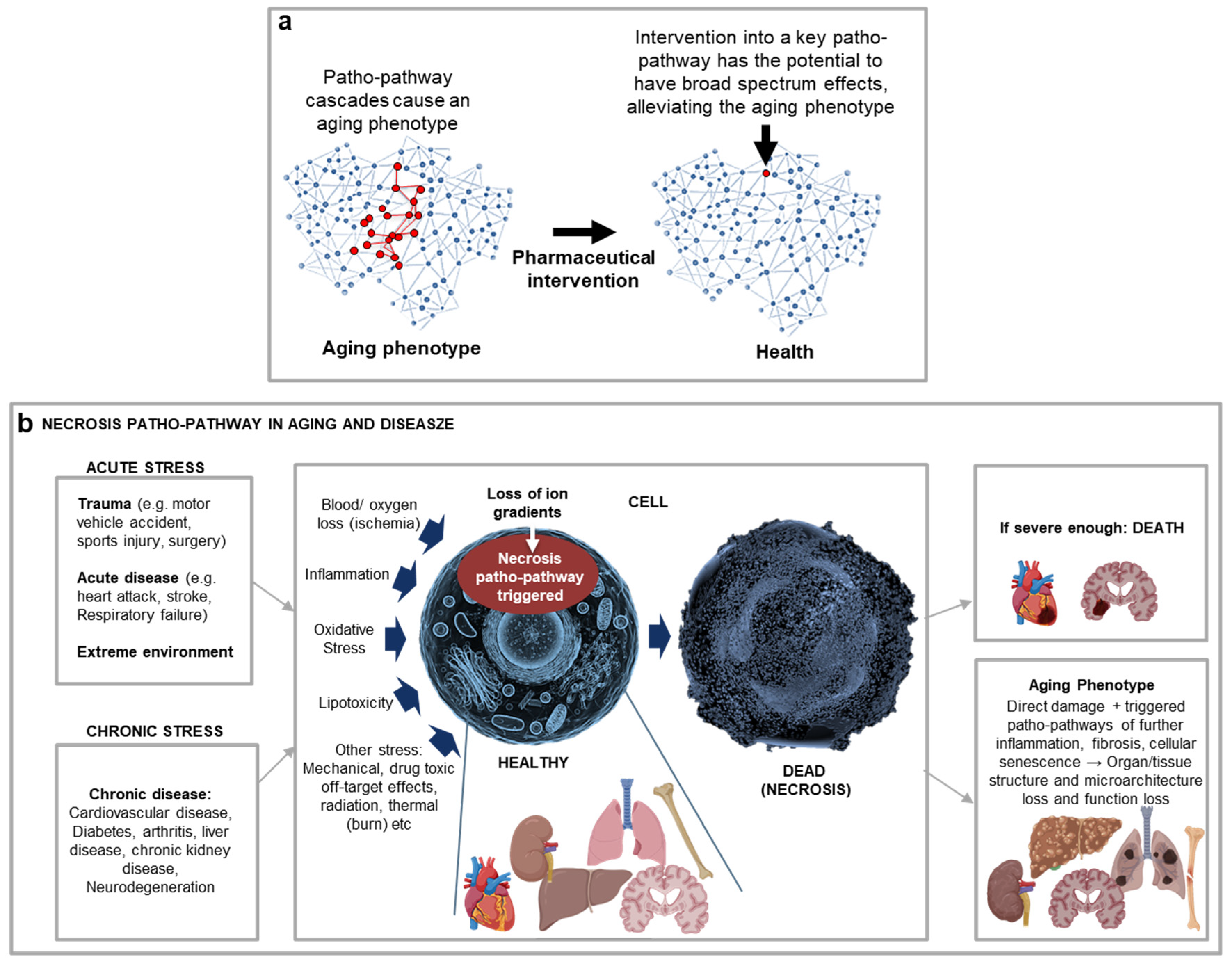 Preprints 121074 g006