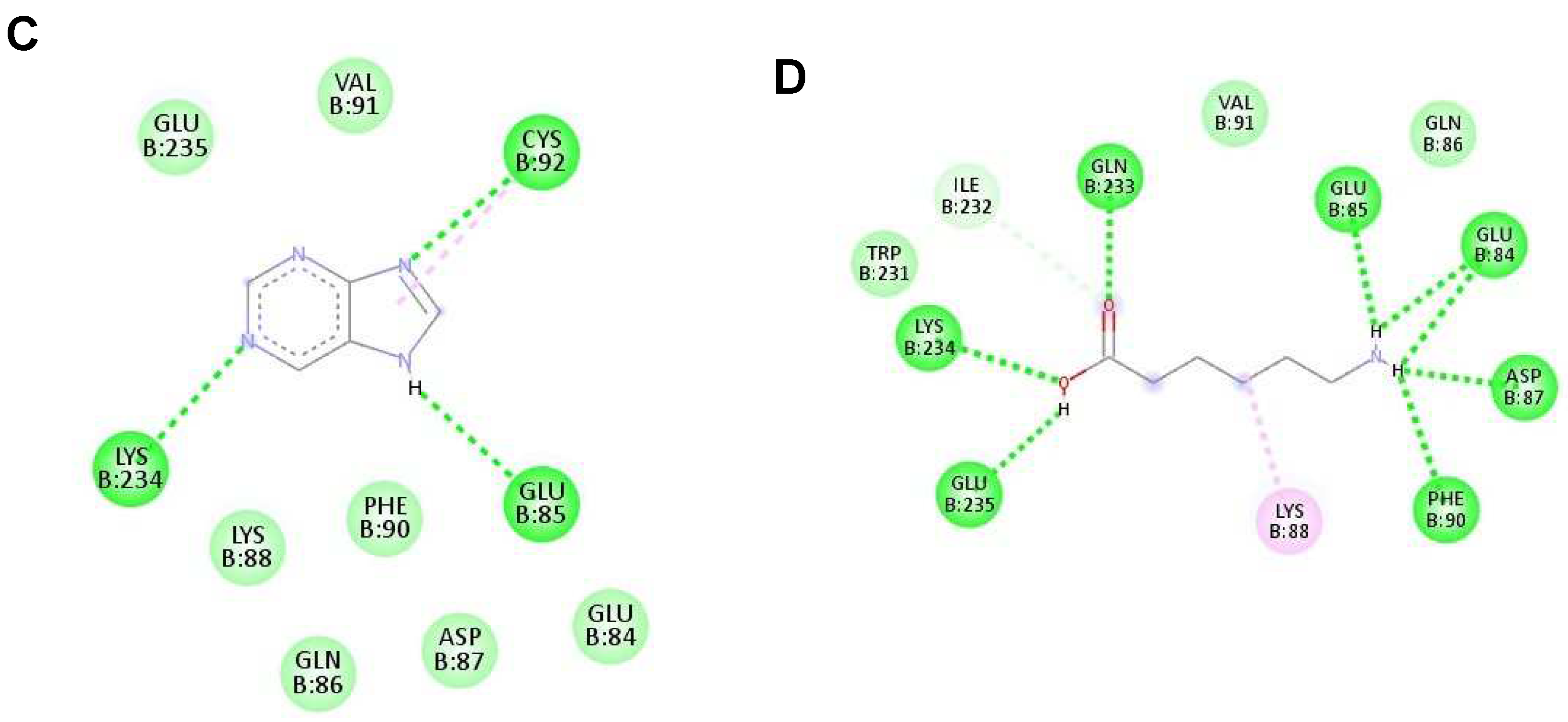 Preprints 68620 g005b