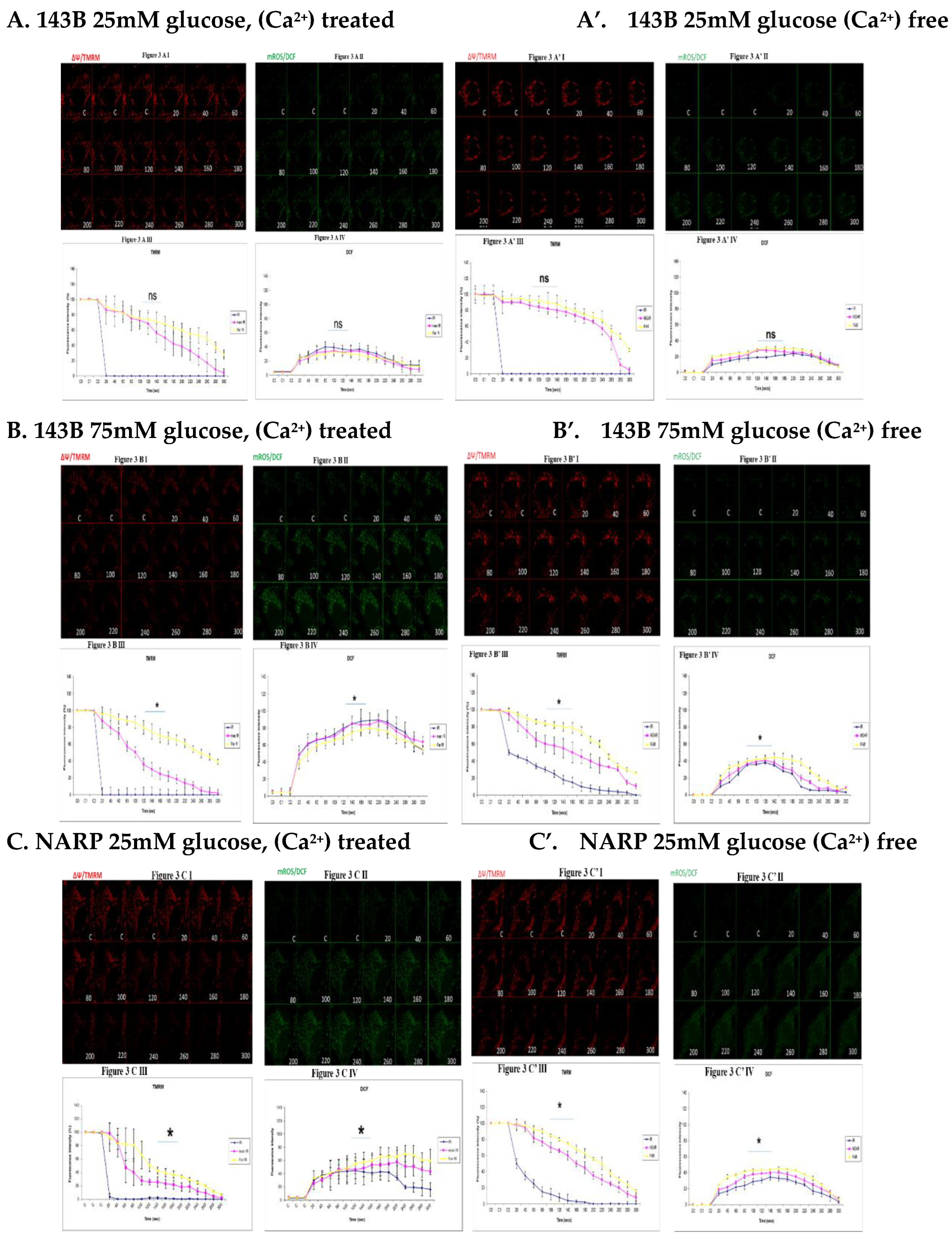 Preprints 110304 g003a