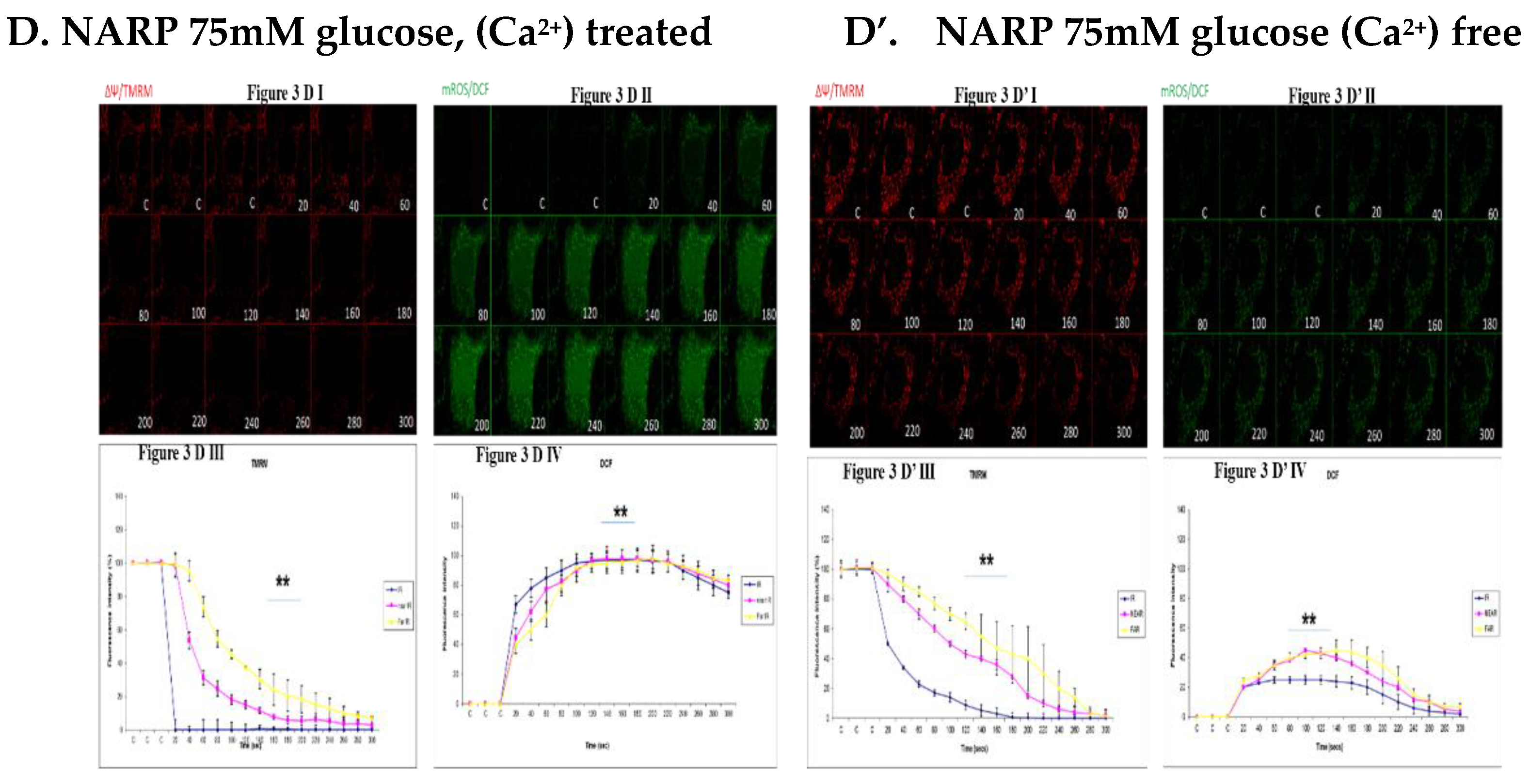 Preprints 110304 g003b