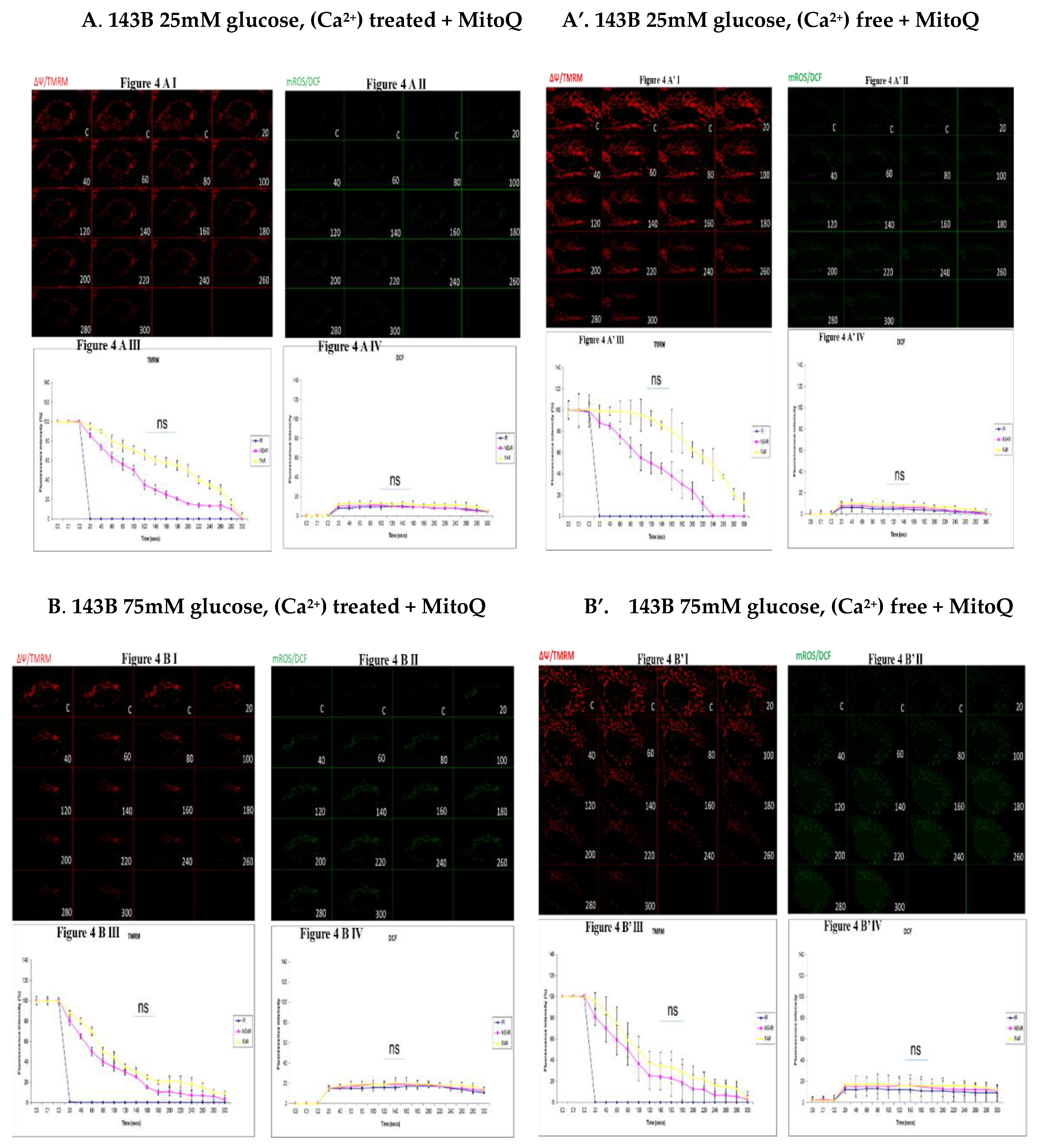 Preprints 110304 g004a