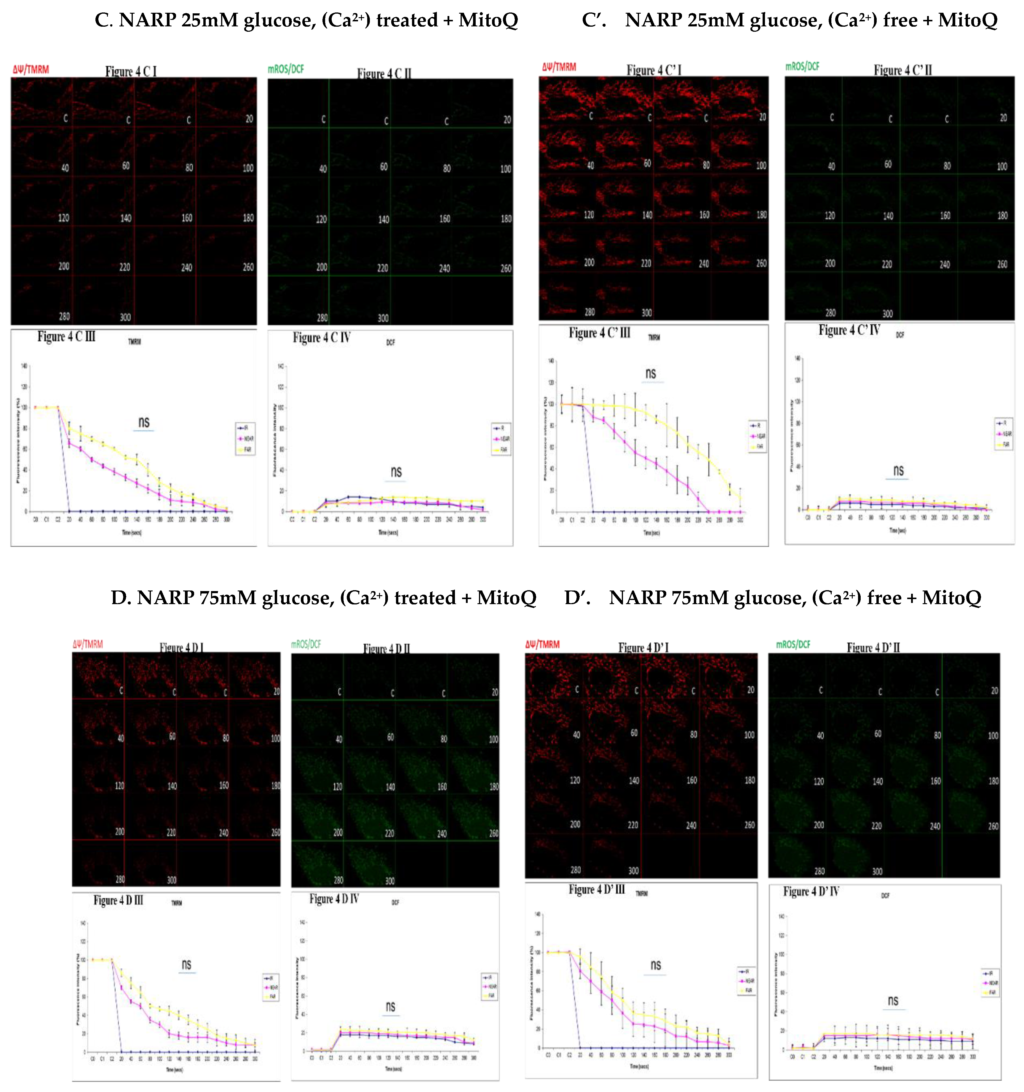 Preprints 110304 g004b