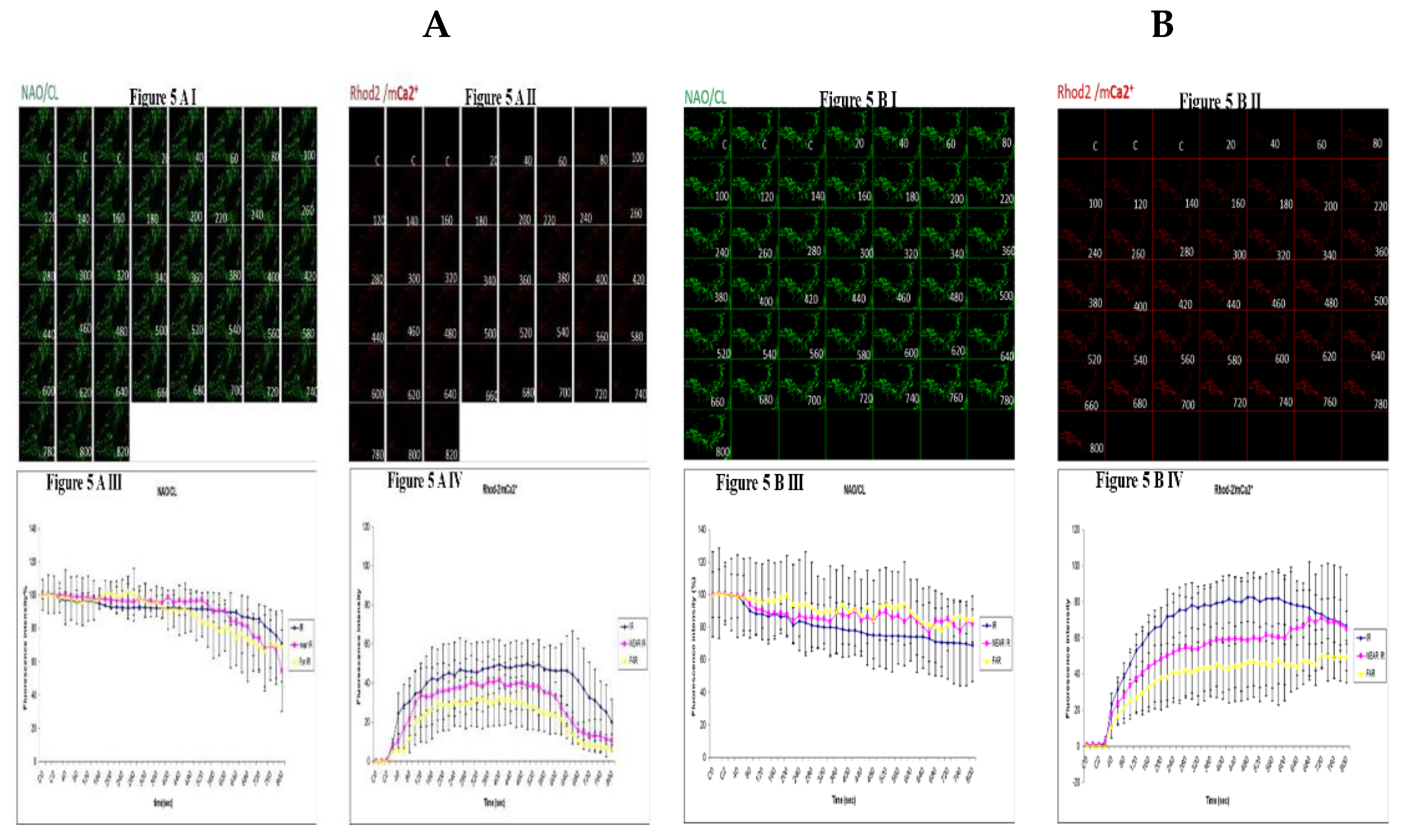 Preprints 110304 g005a