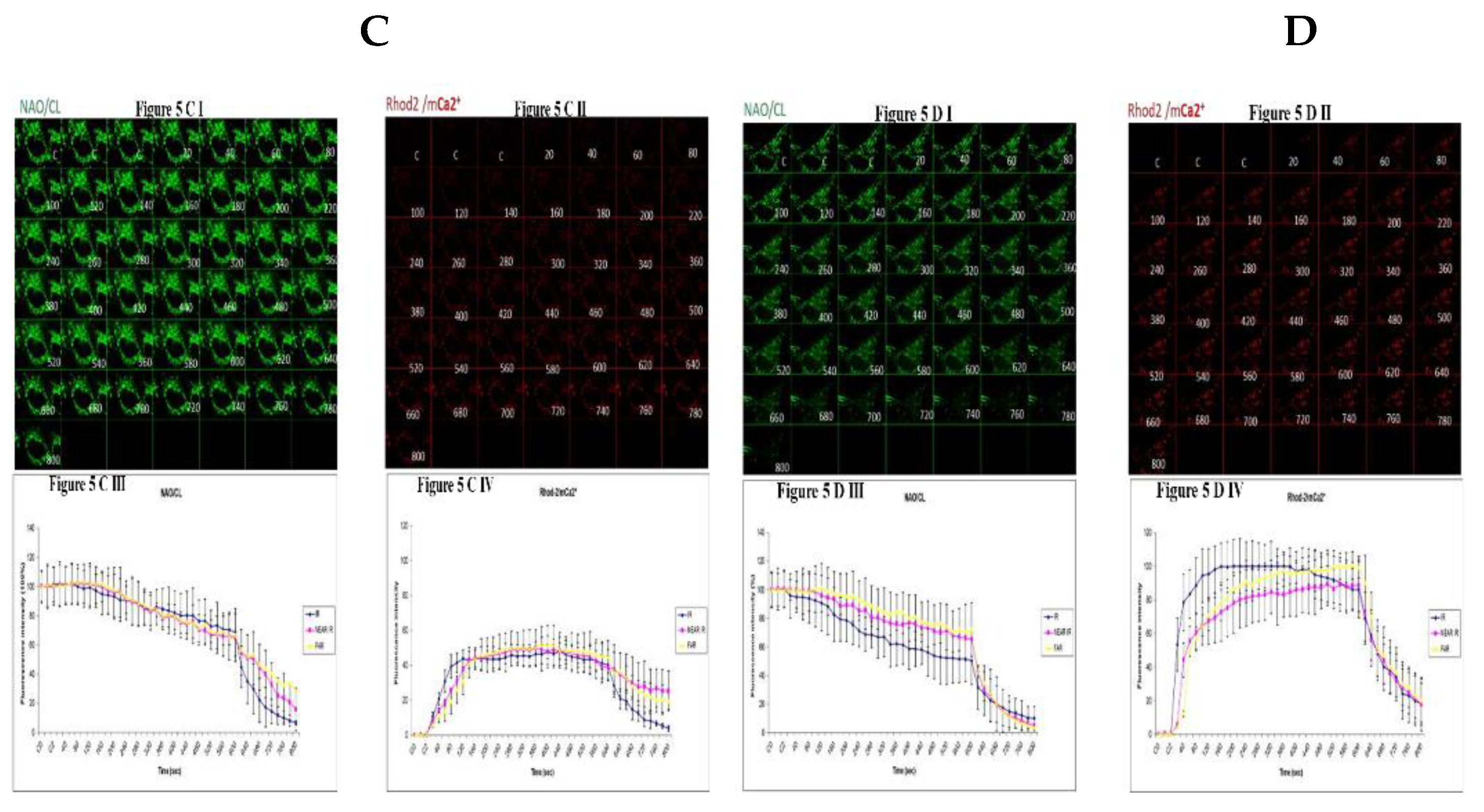 Preprints 110304 g005b